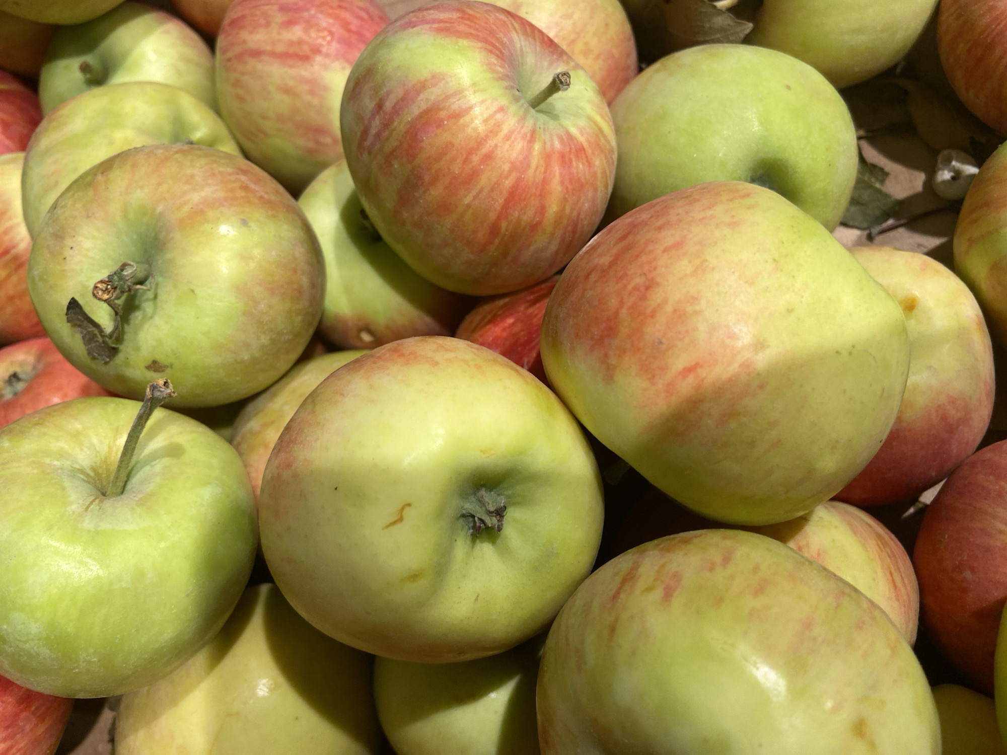 A close-up, overhead shot displays a collection of apples, predominantly green with streaks of red blush, piled together in what appears to be a market or orchard setting. The apples are round and smooth-skinned, some showing slight imperfections or blemishes. The lighting suggests an outdoor environment, casting shadows and highlighting the glossy texture of the fruit. The background is filled with more apples, creating a dense, textured composition. The scene is devoid of any discernible human presence or activity. The specific location of Balashikha, Russia, cannot be determined from the visual information presented in the image.