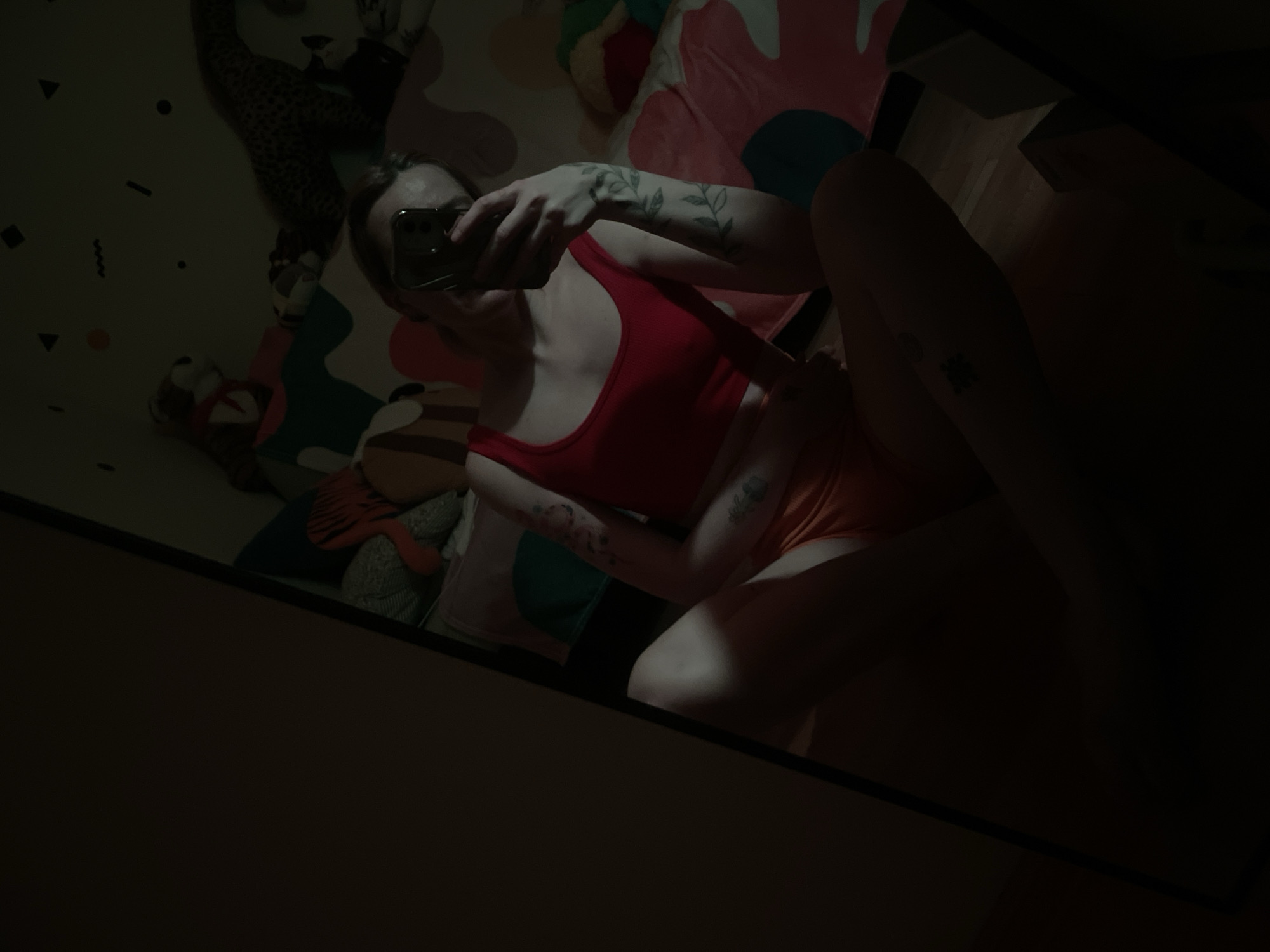 This media file, originating from Belgrade, Serbia, depicts a dimly lit mirror selfie taken by a person in an indoor setting, likely a bedroom. The subject, a young adult, has dark hair and is partially obscured by the smartphone they are holding to capture the image. They are wearing a red tank top or crop top and light orange or peach-colored bottoms.
Notable details include several tattoos on the person's arms, with a distinct vine or leafy design visible on the left arm (viewer's left), and a smaller tattoo on the right thigh. The lighting is low, suggesting nighttime or a darkly lit room, with an artificial light source casting prominent shadows and highlights across the subject's body, creating a high-contrast effect.
The background, reflected in the mirror, features colorful bedding or a rug adorned with various geometric patterns such as circles, triangles, waves, and dashes, along with larger abstract shapes in shades of pink, blue, green, and red. Two stuffed animals are also visible on the bed or floor: one with a leopard print and another striped animal wearing a red collar or scarf. No visible text is present in the image.