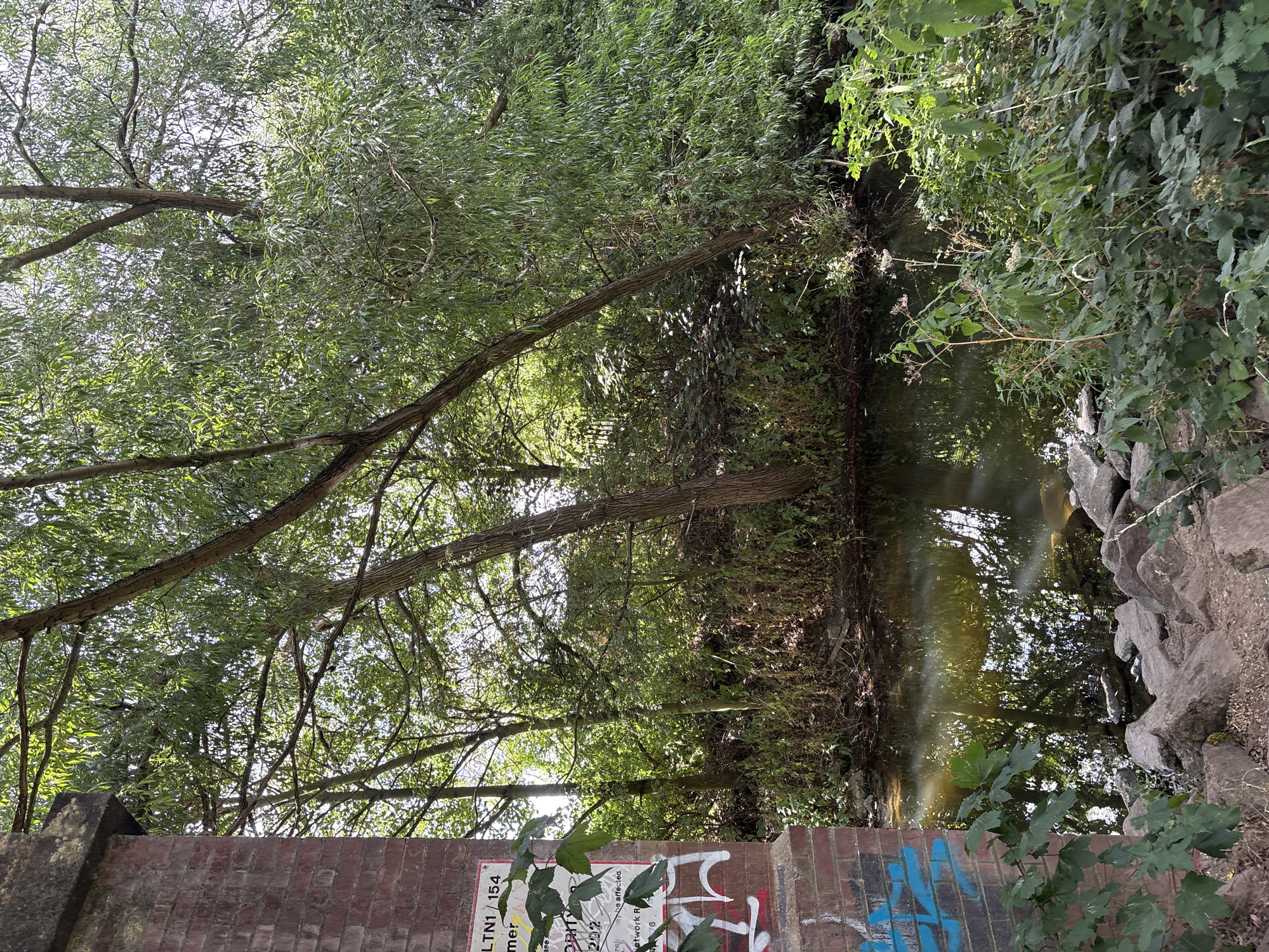 The image depicts a narrow waterway flowing through a densely vegetated area, likely in Chelmsford, United Kingdom. On the left, a weathered brick structure, possibly a bridge abutment, is partially visible. It is marked with graffiti, including blue spray paint and white stylized lettering. Overhanging the waterway and the brick structure are numerous trees with lush green foliage, their branches reaching out over the water. The water itself is dark and reflects the surrounding trees and the sky, with a subtle rainbow-like light distortion visible on the surface. Rocks of various sizes are scattered along the bank in the foreground. The overall impression is one of a natural, somewhat untamed, urban riparian environment.