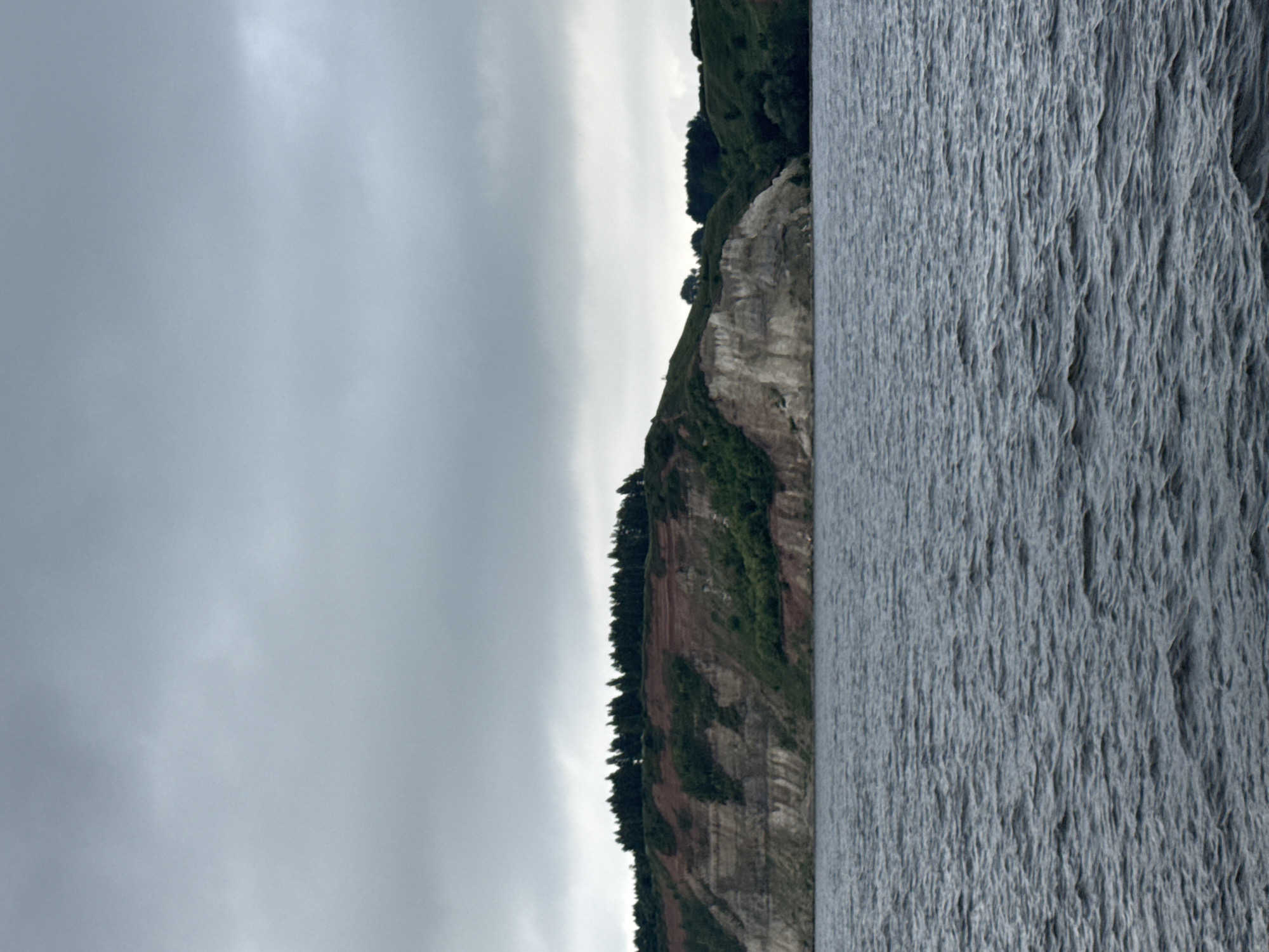 The image shows a wide, dark body of water with moderate ripples, likely a river or lake, in the foreground. In the middle ground, a steep, layered cliff rises from the water's edge. The cliff face exhibits distinct strata of varying colors, including white, tan, and reddish-brown. Green vegetation, including trees and shrubs, grows on the slopes and the top of the cliff. The top of the cliff is lined with a dense band of dark green trees, forming a silhouette against the sky. The background is dominated by a heavily overcast, gray sky with textured clouds. The scene captures a natural landscape with a dramatic geological formation. This view is consistent with the scenery found in Kamskoye Ustye, Russia, known for its Volga River landscapes and steep banks.