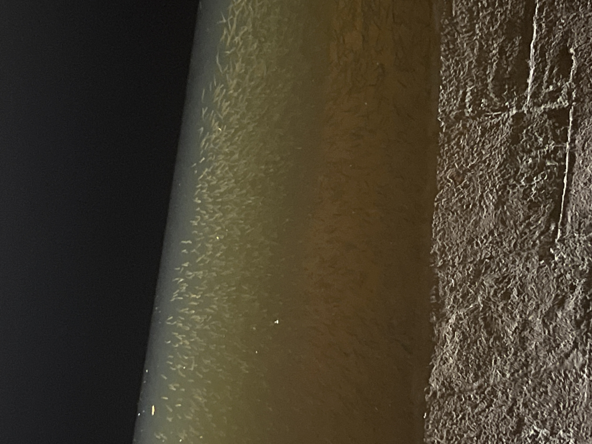 The image shows a close-up of a column next to a textured wall in Saint Petersburg, Russia. On the left, a dark area suggests a void or shadowed space. Adjacent to the dark area, the column has a smooth, slightly reflective surface with a mottled or textured appearance. To the right of the column, there is a wall with a rough, heavily textured surface. A vertical line and a horizontal line form a cross-like shape etched into the wall's surface.