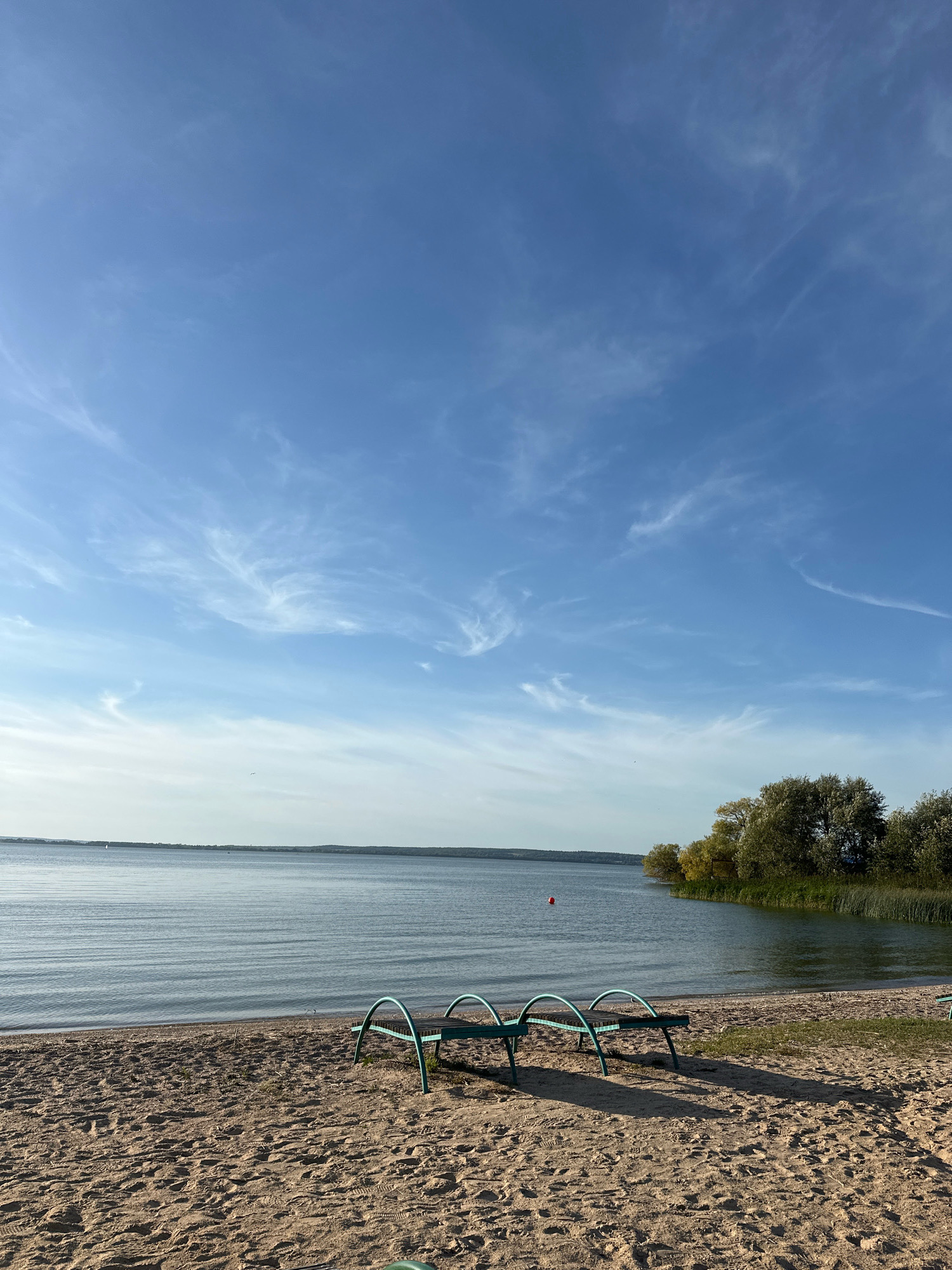 The image shows a sandy beach bordering a calm body of water under a bright blue sky with wispy white clouds. In the foreground, two teal-colored lounge chairs are placed on the sand, casting long shadows. The water's edge is visible, with a gentle ripple pattern on its surface. In the distance, the opposite shoreline is lined with trees and reeds. A small red buoy is floating in the water to the left of center. The overall scene suggests a peaceful, possibly recreational, outdoor environment.