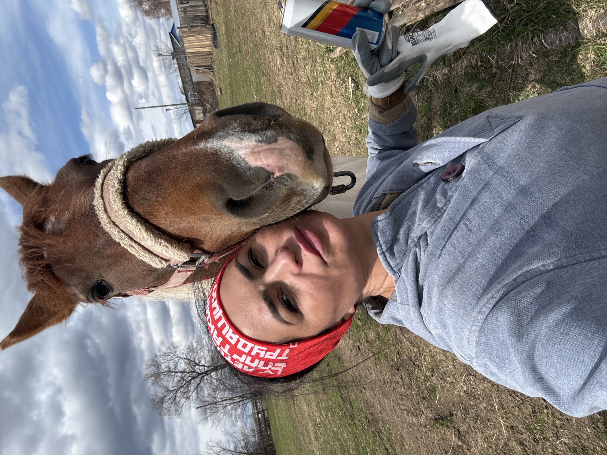 A woman is taking a selfie with a horse in an outdoor, rural setting. The image is captured from a close-up perspective, with the woman and horse positioned centrally.
The woman, with dark hair and a neutral expression, wears a red bandana with white text, a grey hooded sweatshirt, and grey and white work gloves. In her right hand, she holds an aluminum can with distinct red, yellow, and blue stripes, which appears to be a beverage can. Her left hand is also gloved. The horse, a brown equine with a lighter muzzle and a halter, has its head resting near the woman's face, seemingly looking towards the can or the camera. Its eye is visible, and it appears calm.
The background shows a field with dry grass and patches of earth, indicative of early spring or late autumn. Bare trees are scattered, and wooden structures, possibly fences or buildings, are visible in the distance under a partly cloudy sky. The lighting suggests it is daytime.
Visible text includes "ТРУДОРУД" (TRUDORUD) in white letters on the red bandana. On the work gloves, "DEXFIT" is partially visible. The brand of the can is not clearly identifiable, but its design is distinct. The overall scene suggests a moment of interaction between the woman and the horse, possibly during a break from work or activity given the gloves and casual attire. The location context indicates this scene takes place in Кемуль, Russia.