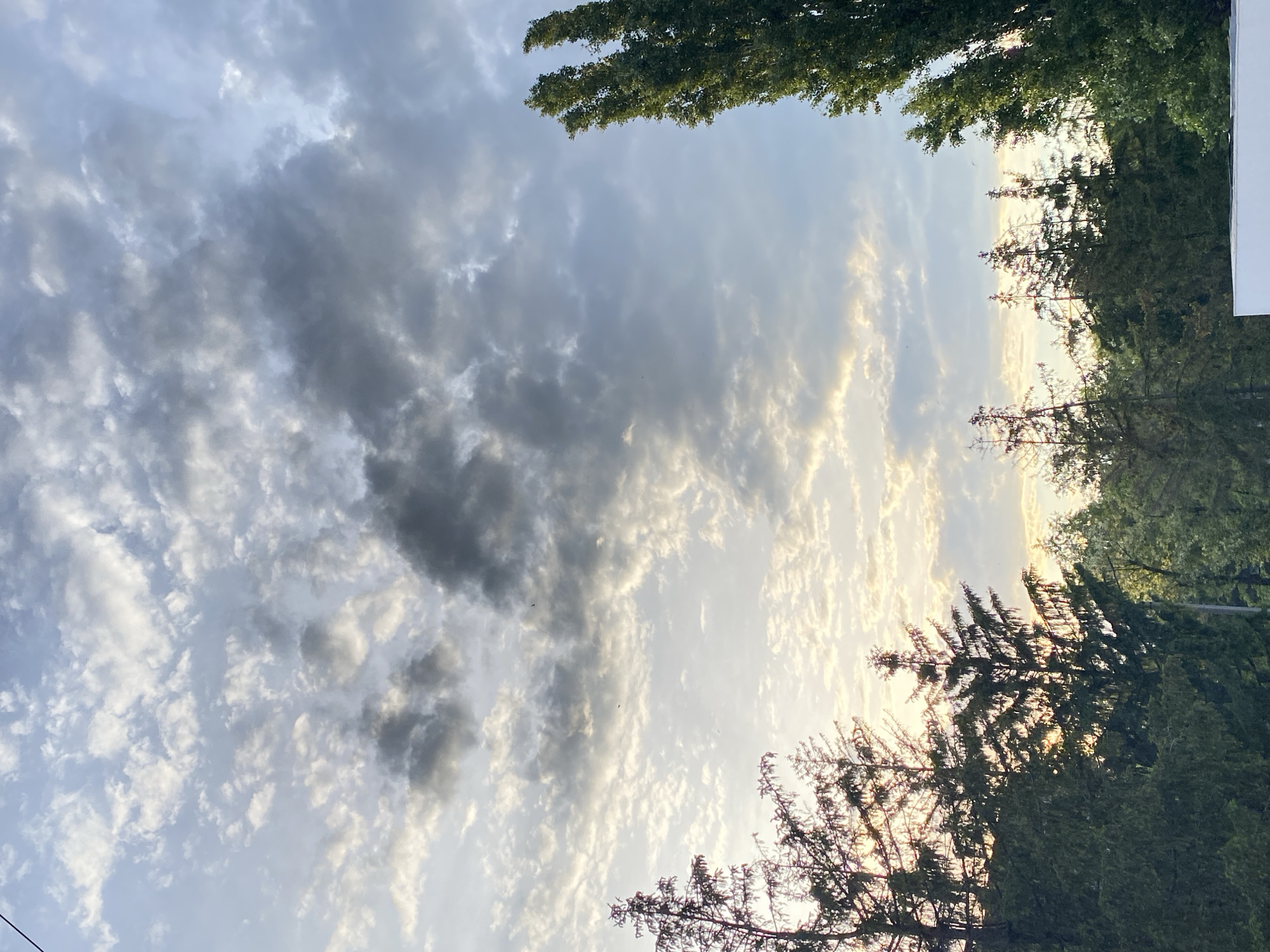 The image captures an upward view of a sky filled with clouds, partially obscured by the foliage of trees. The clouds range from light, wispy formations to denser, darker patches. The trees frame the sky along the top and right side of the image, with branches and leaves reaching into the frame. Sunlight appears to be filtering through the clouds and foliage, creating a diffused, bright glow in some areas of the sky. The location is identified as the city of Unknown, Unknown.