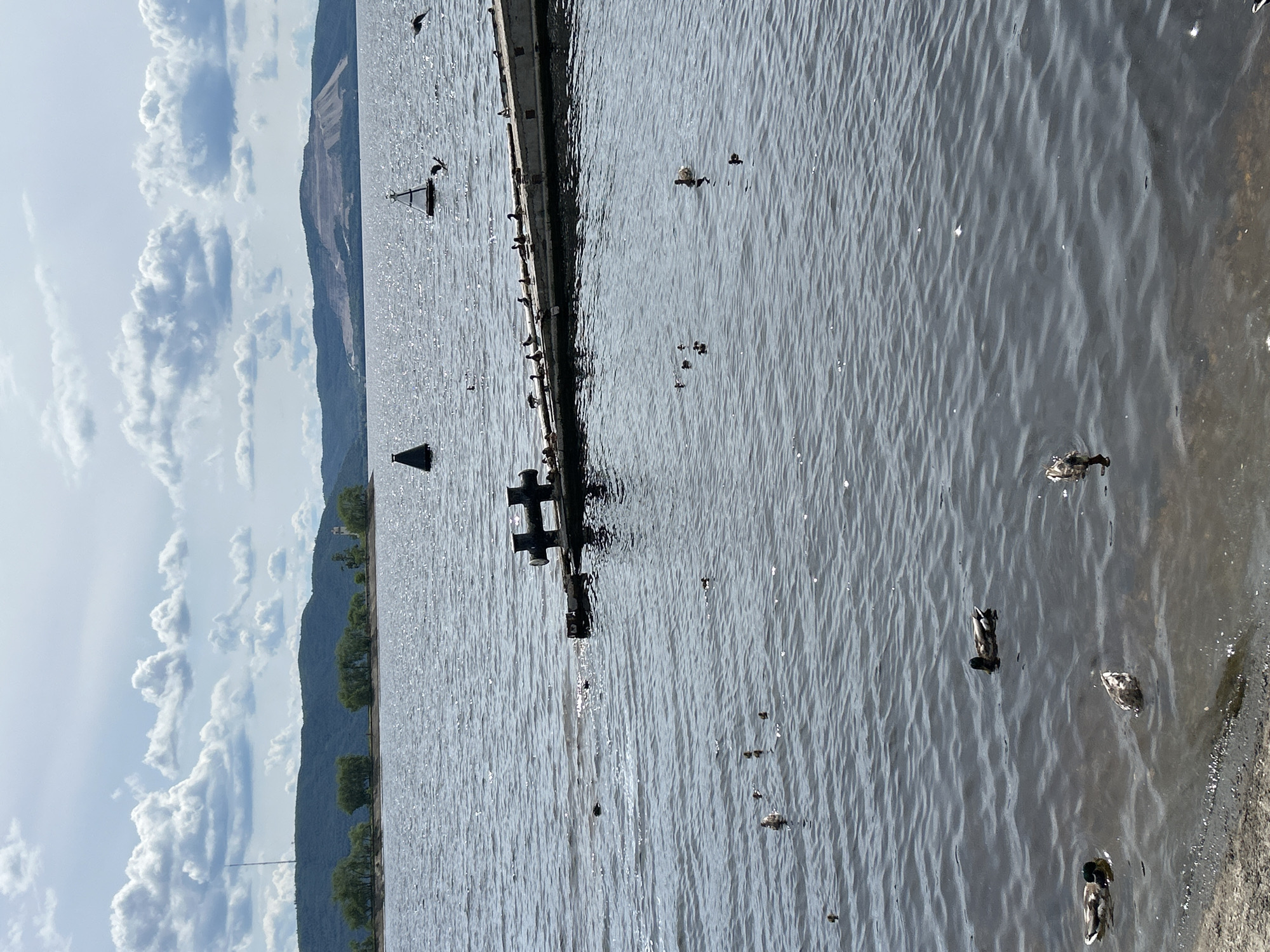 The image depicts a body of water, likely a lake or river, with a shoreline visible in the foreground. A long pier or boardwalk extends into the water, with several buoys marking its path. A series of pilings or supports are visible along the pier's edge. Ducks are scattered across the water, some swimming and others gathered on the pier. The background features a mountainous landscape with trees lining the slopes, suggesting a natural, outdoor setting. The sky is partly cloudy, with dramatic white cumulus clouds against a light blue sky, indicating fair weather and possibly midday. The sunlight glints off the water's surface, creating ripples and reflections. There are no people visible in the image. The scene evokes a sense of tranquility and natural beauty. The location is Togliatti, Russia.