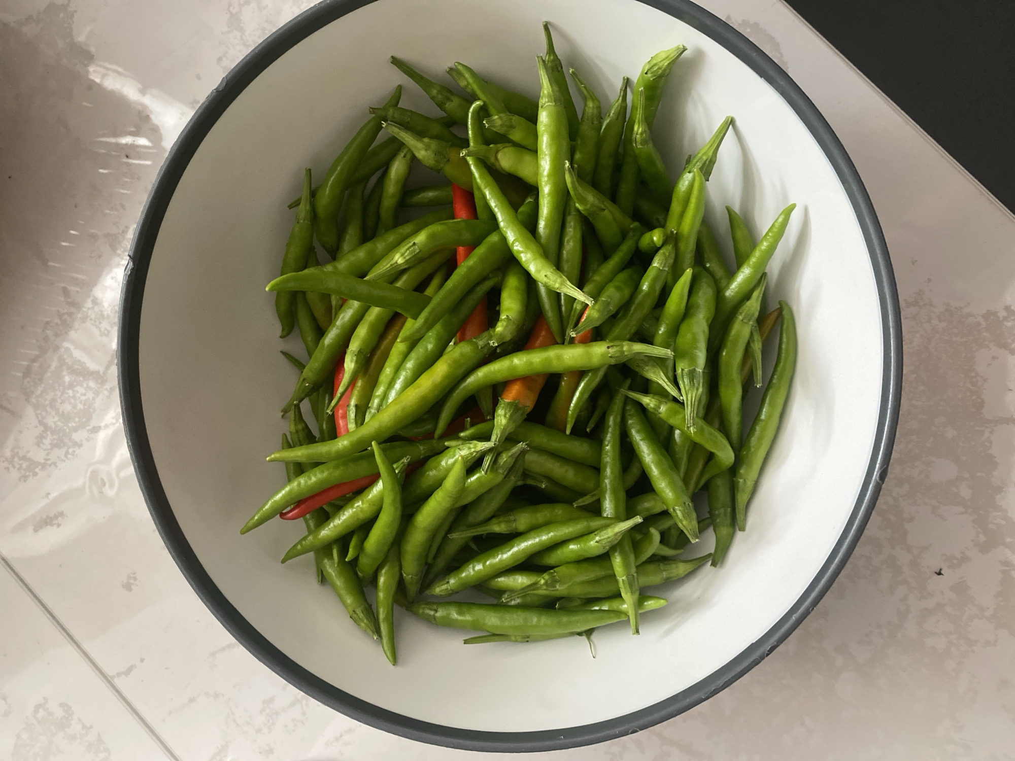 A white bowl with a black rim sits on a tiled surface. The bowl is filled with a large quantity of small, green chili peppers, with a few red chili peppers interspersed throughout. The lighting suggests an indoor environment, possibly a kitchen. There are no people or animals present in the image. The background tiles are a light color with a subtle pattern. The overall scene is a close-up view of fresh produce.