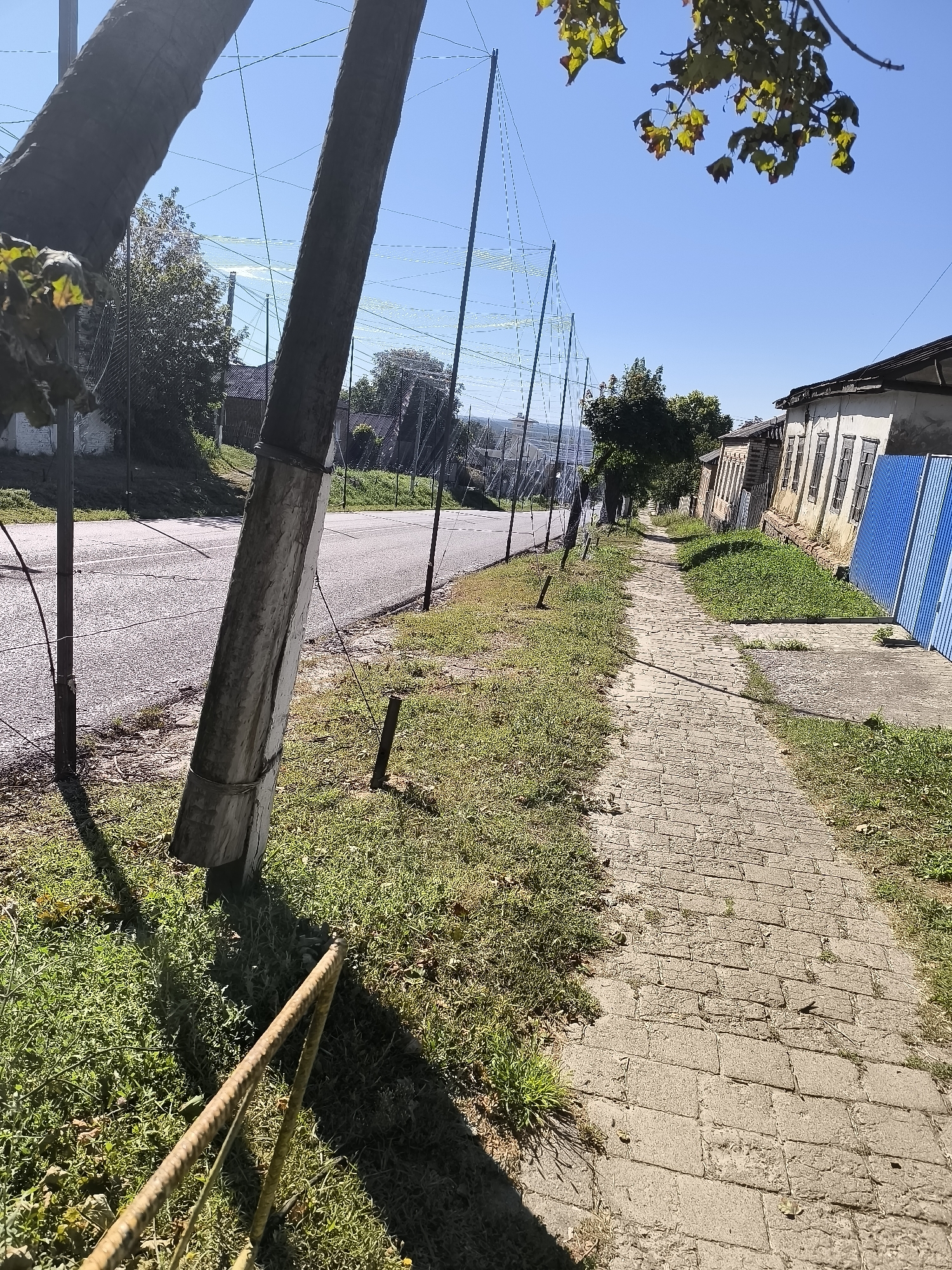 The image depicts a sunny day on a paved walkway in Bohodukhiv, Ukraine. To the left of the walkway is a road with a slightly wet asphalt surface. Along the edge of the road and walkway are several wooden posts, some of which appear to be leaning or damaged, supporting thin wires that run horizontally and form a loose grid pattern, possibly for a fence or netting. Green grass grows on both sides of the walkway, with some patches of dry leaves. In the background, there are trees and buildings. On the right side of the walkway, there is a row of old, light-colored buildings with multiple windows. A blue corrugated metal fence is visible in front of one of the buildings. The sky is clear and blue. The perspective of the image is from ground level, looking down the walkway.