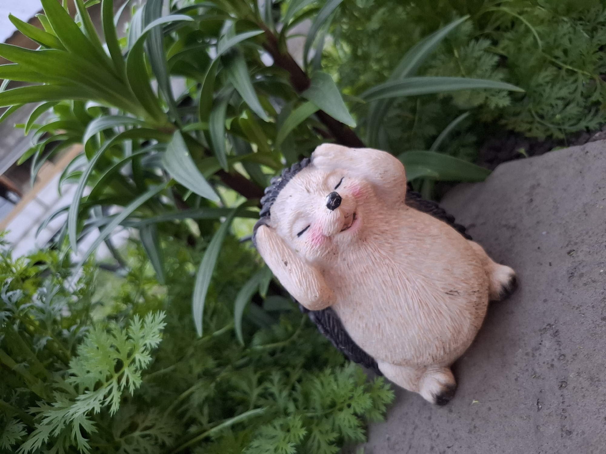 A ceramic hedgehog figurine lies on a gray stone surface among green plants. The figurine has a cream-colored body, dark gray spines, and pink cheeks. It appears to be resting with its paws near its face. The plants surrounding the hedgehog include broad, blade-like leaves and smaller, more feathery foliage. The image was taken in Амзя, Russia.