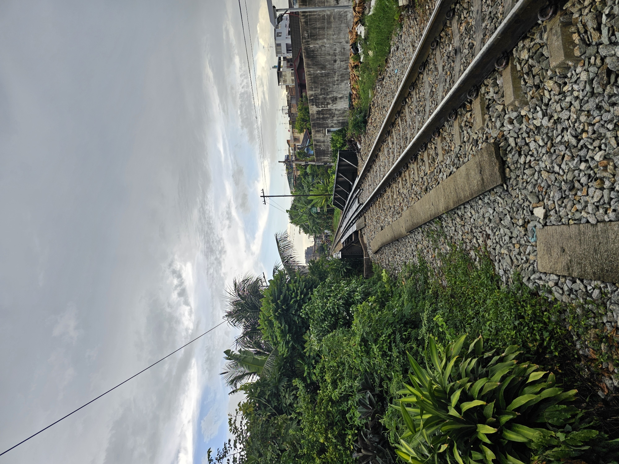 The image depicts a set of railway tracks in Bangkok, Thailand, under a cloudy sky. The tracks run diagonally across the frame from the bottom right towards the upper left. On the left side of the tracks, lush green vegetation, including palm trees and various other plants, creates a dense foliage barrier.
To the right of the tracks, a concrete wall borders the railway. Beyond the wall, buildings and structures typical of a city environment are visible. A power line stretches across the top of the image, supported by poles. The ground around the tracks is covered with ballast stones. There are no people or vehicles visible in the image. The scene appears to be an outdoor, urban landscape, likely in an area where the railway line intersects with a residential or mixed-use zone.