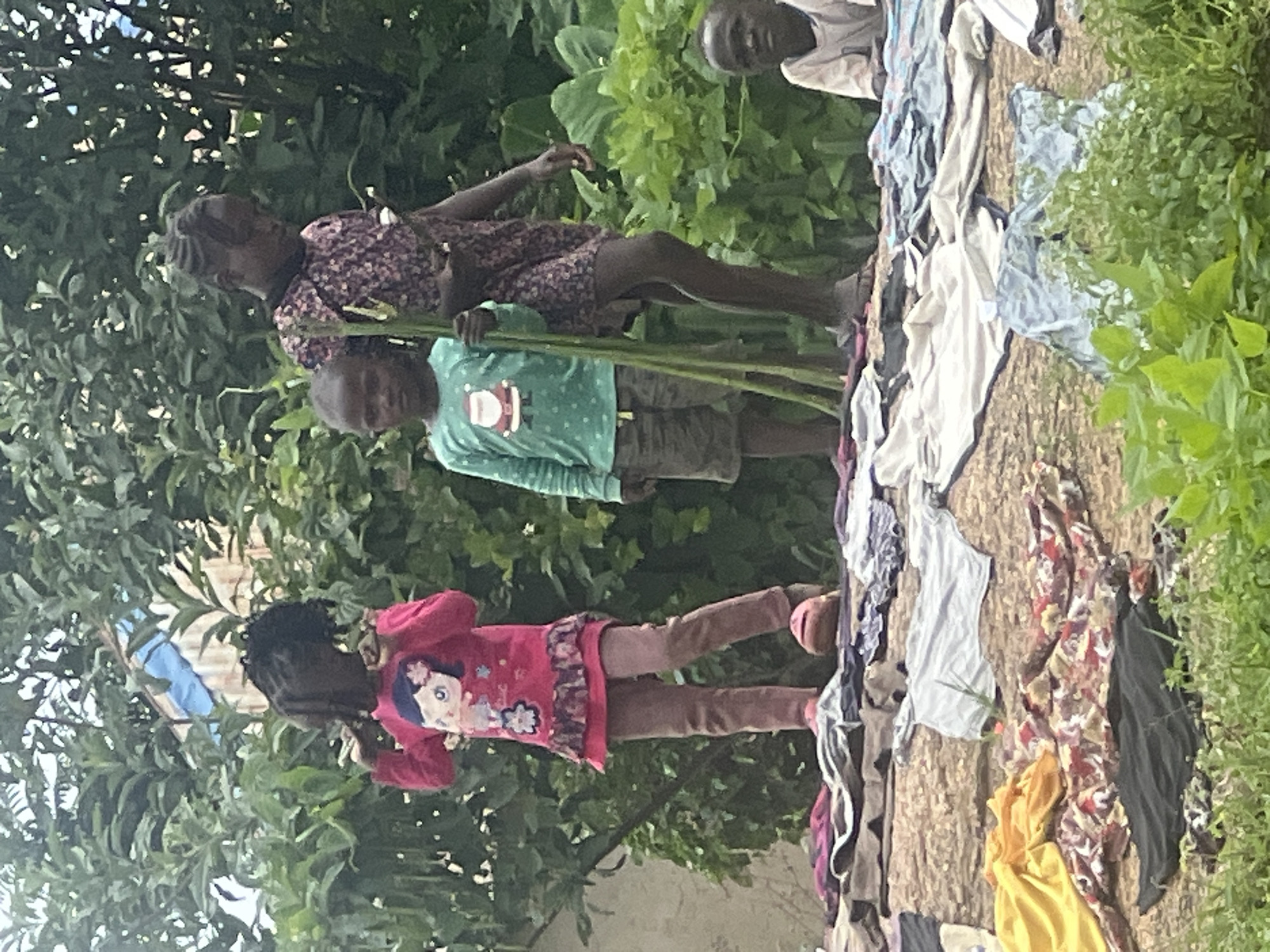 In Dong, Nigeria, a scene unfolds with four children in the foreground, set against a backdrop of lush green foliage and vegetation. In the center, a young boy, wearing a long-sleeved teal shirt adorned with a Santa Claus graphic and dark shorts, stands holding a bundle of tall green stalks. To his left, a young girl in a vibrant pink long-sleeved shirt, featuring a cartoon character graphic and a ruffled hem, wears brown trousers and pink footwear. She stands with her hands raised, palms facing forward. To the right of the boy, an older girl in a dark, patterned dress appears to be holding similar green stalks. Further to the right, a fourth child, partially visible, sits facing left, wearing a light-colored shirt. In front of the children, a variety of clothing items are spread out on what appears to be a textured surface, possibly fabric or dried earth. These garments include a bright yellow garment, patterned fabrics, and darker clothing items. The ground is covered with these clothes, with some appearing folded and others draped. The environment is rich with green leaves and plants, suggesting an outdoor setting in a verdant area.