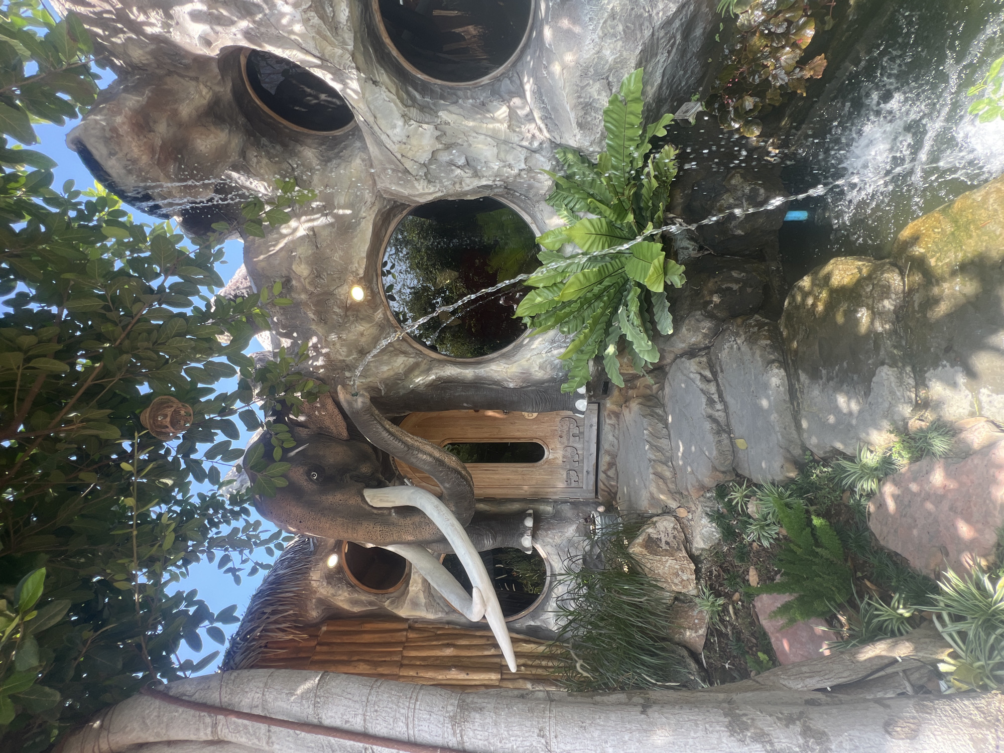 This image depicts the exterior of a building designed to resemble an elephant, located in Ko Samui District, Thailand. The structure has a thatched roof and features a prominent elephant head with large tusks as an architectural element. There are circular windows on the elephant's body. A wooden door serves as the entrance, with stone steps leading up to it. A small waterfall cascades down the rock-like facade of the building into a pond at the base. Lush green ferns and other plants surround the pond and steps. The scene is framed by the branches and leaves of a large tree overhead, with the blue sky visible through the foliage.