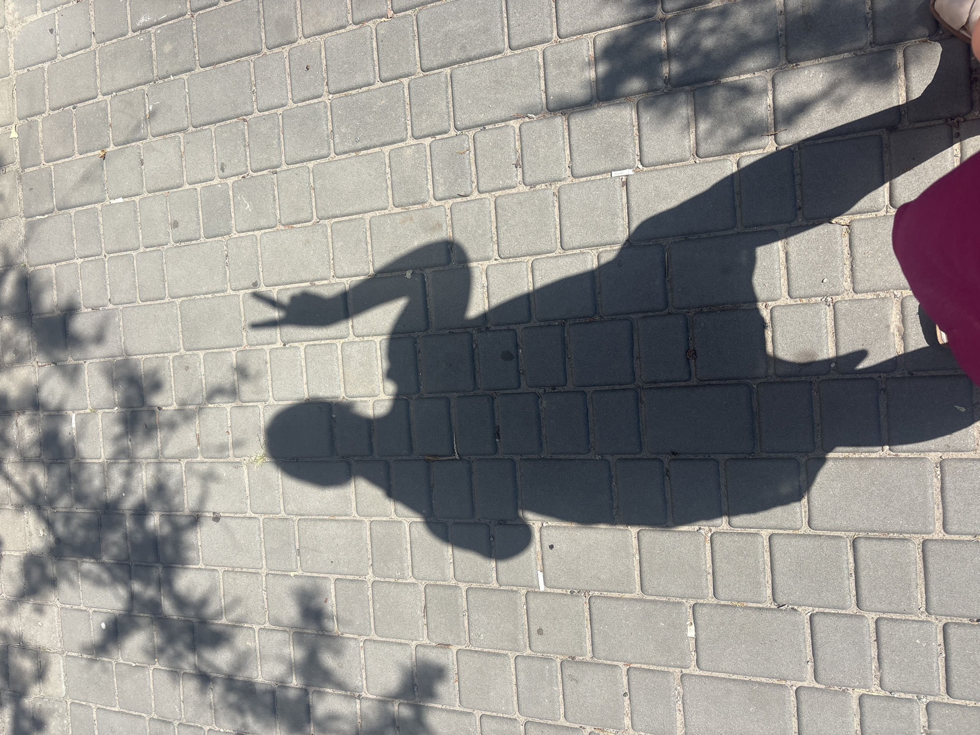 An overhead shot captures the shadow of a person standing on a paved walkway. The walkway is composed of grey rectangular blocks with rounded edges, laid in a pattern. Sunlight casts dappled shadows from overhead foliage across the surface. The person's shadow is distinct, with their head, torso, and arms visible, the latter raised in a peace sign gesture. A portion of the person's magenta clothing and their footwear are visible in the lower right corner of the frame. The scene appears to be outdoors on a sunny day. The specific location in Kremenchuk, Ukraine, cannot be determined from the image alone.