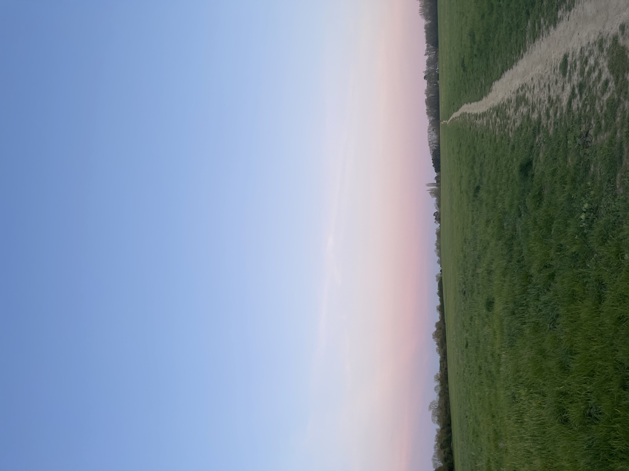 The image shows a landscape likely captured in Maidstone, United Kingdom, given the environment. The sky transitions from blue to pink at the horizon. Adjacent to the sky is a green field with a lighter-colored path running along its edge. A line of trees is visible bordering the field. There are no visible people or interactions.