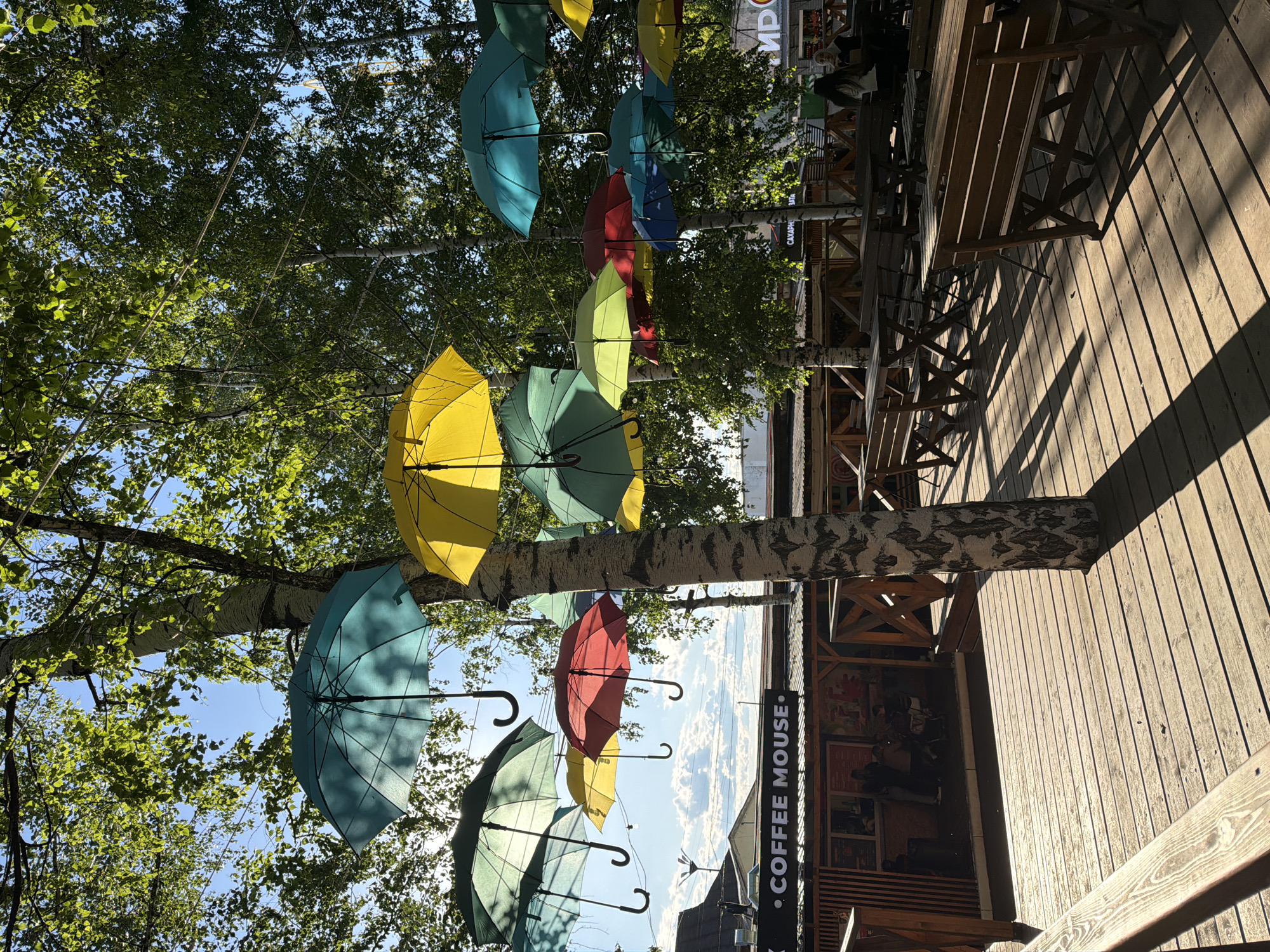 An outdoor cafe or pedestrian area in Izhevsk, Russia, is captured during daytime under clear, sunny skies. The setting features a light-colored wooden deck floor, where rows of wooden tables and benches are arranged, casting long, sharp shadows across the surface. A prominent birch tree trunk, with its characteristic white and black bark, runs vertically through the frame.
Overhead, numerous brightly colored open umbrellas are suspended, creating a vibrant, decorative canopy. These umbrellas appear in shades of yellow, teal, red, and green, with sunlight illuminating their fabric and filtering through the surrounding natural foliage. Lush green leaves of various trees, including birches, are visible, suggesting a verdant environment.
In the background, a building housing the cafe is partially visible. A few indistinct figures of patrons can be seen seated at the outdoor tables. Visible text includes a black sign reading "COFFEE MOUSE" and a partially obscured sign with "САХАР" (SAKHAR - sugar) and "МИР" (MIR - world/peace). The overall atmosphere is bright and inviting, indicative of a pleasant day.