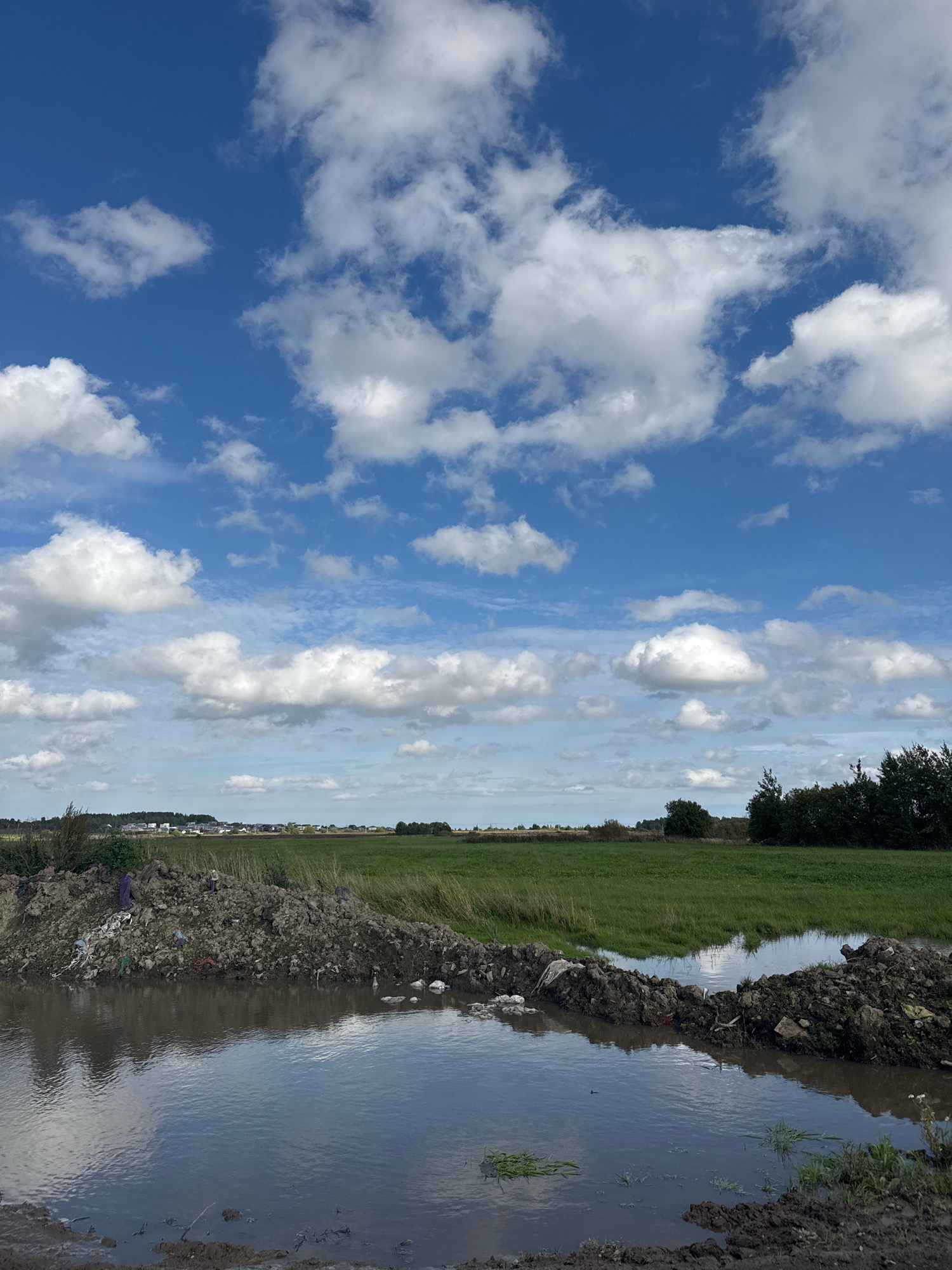 The image depicts a rural landscape with a clear blue sky filled with white, puffy clouds. In the foreground, there is a muddy area with standing water, reflecting the sky and surrounding environment. Piles of dirt and debris, including plastic bags and other refuse, are visible along the edges of the water. Beyond this, a green field stretches towards a distant treeline. In the far distance, a low-lying settlement with houses can be observed. The scene is consistent with a site located in Kempelevo, Russia, likely an undeveloped or partially cleared area with evidence of human activity in the form of discarded waste. There are no people or animals present in the image.