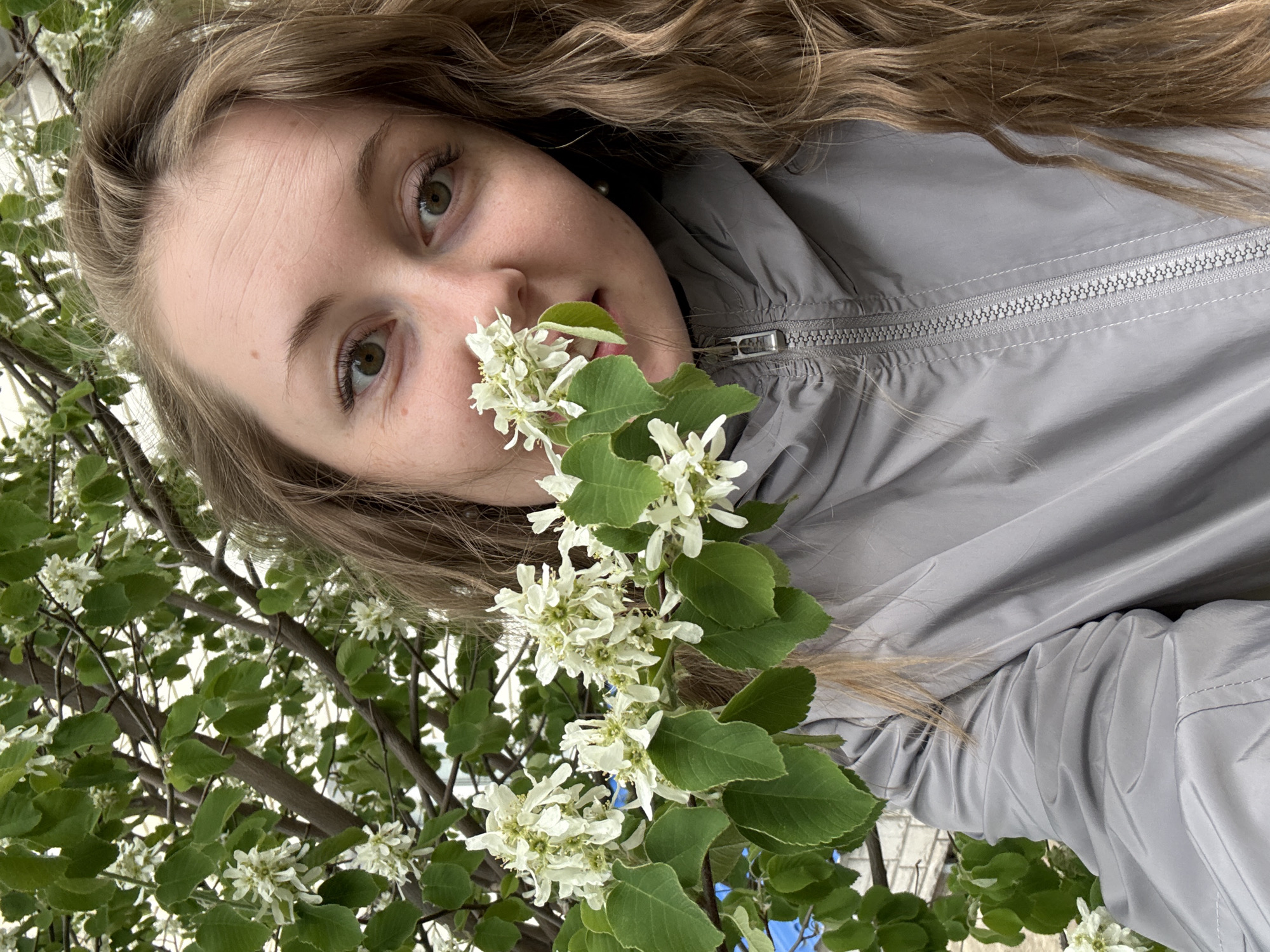 A woman is holding a branch with white flowers and green leaves near her face. She has light brown, curly hair, green eyes, and fair skin. She is wearing a gray jacket. The background shows more of the tree with white flowers and green leaves. The location is likely outdoors.
