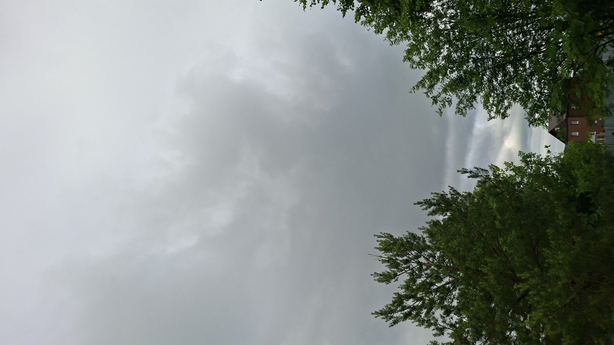 An overcast sky dominates the upper portion of the image, with grey clouds filling the frame. The lower portion reveals the tops of several trees, with a pine tree on the left and a deciduous tree on the right, both lush and green. In the distance, nestled between the trees and behind a dark fence, a two-story building with a brown roof and white-trimmed windows is visible. This scene is located in the city of Bolshoy Bukor, Russia.