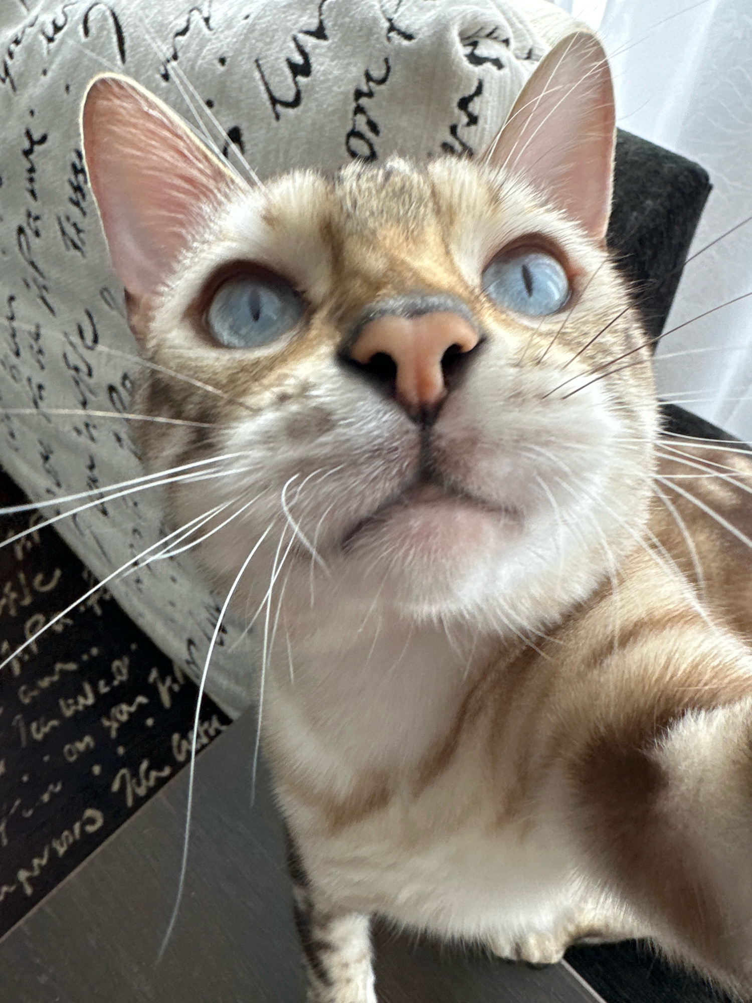 A close-up, selfie-style photograph shows a Bengal cat with striking blue eyes and patterned fur. The cat's head is angled towards the camera, with its whiskers prominently displayed. The background consists of a textured surface with cursive writing and a dark, flat object. The cat appears to be indoors, possibly on a couch or bed. There is no information in the image to indicate a specific location in Energetik, Russia.