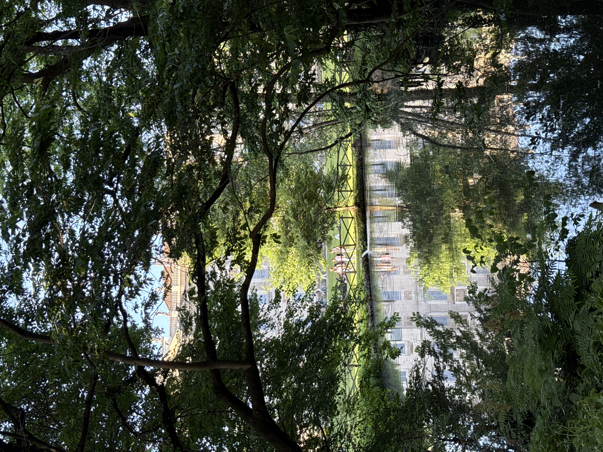 The image shows a view of a building in Milan, Italy, seen through trees and its reflection in a body of water. A wooden fence runs along the water's edge, where several people are sitting or standing. The building has many windows and appears to be multi-storied. The scene is framed by lush greenery, with trees filling the foreground and obscuring parts of the view. The sky is visible in patches through the branches.