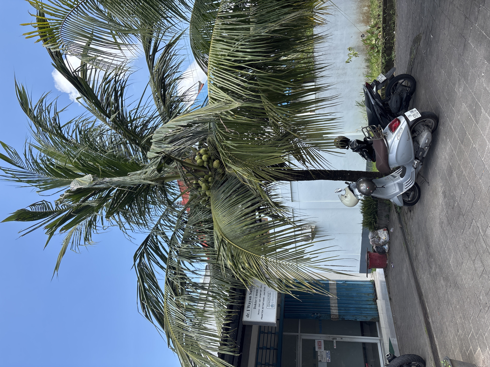 This image depicts a scene in Kuta Selatan, Indonesia. A coconut palm tree stands near a building, its leaves extending towards a blue sky with scattered clouds. A sign for "dr. I Wayan Subapa, Dokter Umum" (General Practitioner) is visible. Two motorbikes are parked on the sidewalk next to the tree. Trash and a red container are near the building's entrance.
