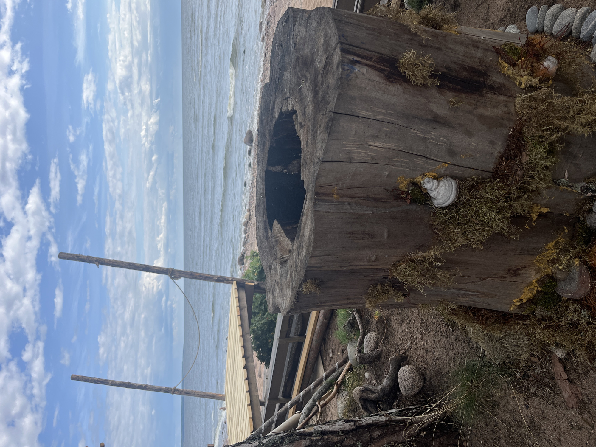 A weathered, hollowed-out tree stump sits in the foreground of a beach scene. The stump is covered in moss and lichen and has a small, white, vaguely human-shaped figurine attached to its side. In the background, a wooden boardwalk extends over a rocky beach towards the ocean, which stretches to the horizon under a cloudy blue sky. Two wooden posts with a rope strung between them stand near the boardwalk. The ground around the stump is covered in sand, small rocks, and dried vegetation.