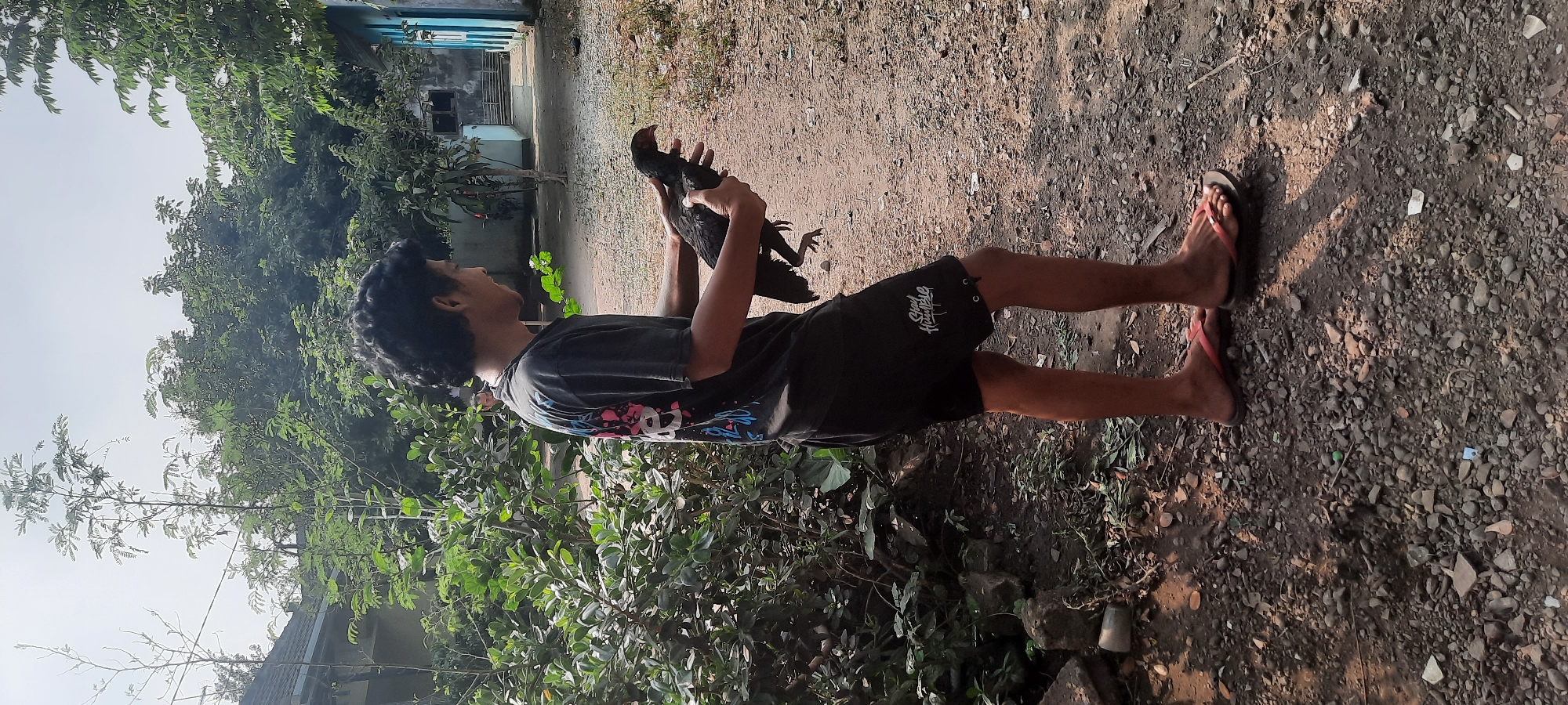 In Selopuro, Indonesia, a young man with curly dark hair, wearing a dark t-shirt with a graphic print and black shorts, stands outdoors on a dirt path. He is holding a black chicken in his arms, looking down at it. To his left, a dense green bush occupies the foreground, with a house roof visible behind it. In the background, trees and a light blue building are present. The ground is covered with small stones and dirt.