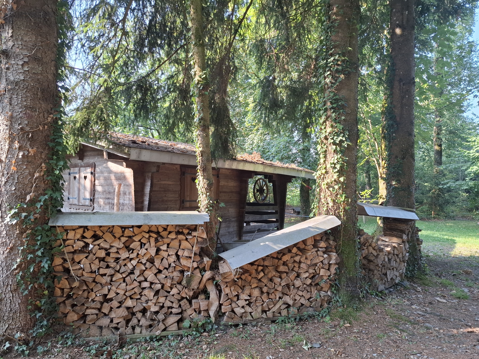 In Eschenbach (LU), Switzerland, a rustic wooden shed is situated in a forest setting, partially obscured by large trees. The shed has a weathered appearance with double wooden doors, each featuring a carved heart. The roof is covered with what appears to be wooden shingles and is slightly sloped. In front of the shed, and extending along its sides, is a substantial quantity of neatly stacked firewood. The firewood piles are contained by angled metal covers. The trees surrounding the shed are tall and mature, with ivy climbing their trunks. The ground is covered in fallen leaves and pine needles, characteristic of a forest floor. Sunlight filters through the dense canopy of leaves, creating dappled light and shadows. The overall impression is one of a secluded, natural environment. There are no people or animals visible in the image.