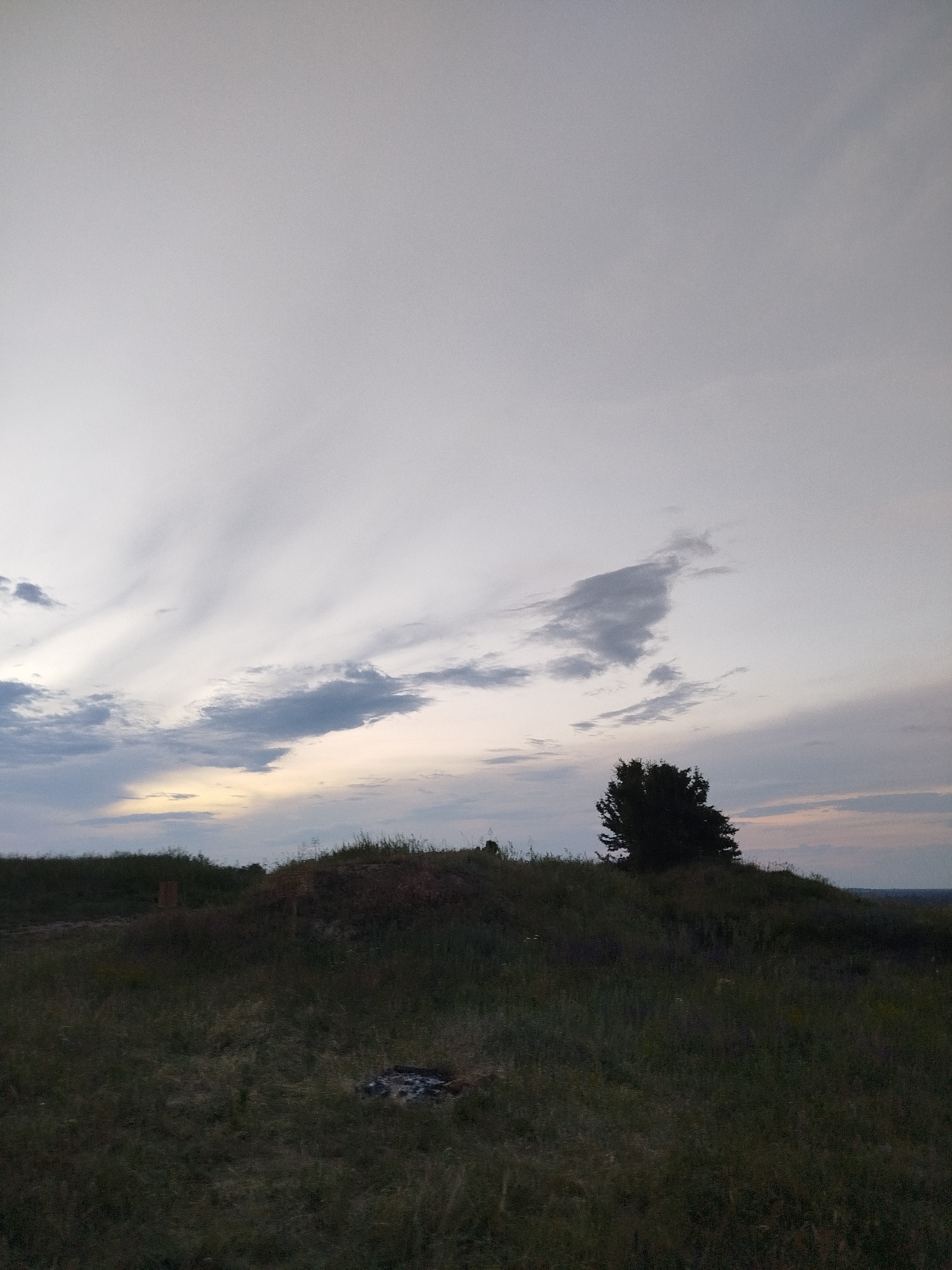 This is an outdoor landscape photograph captured at twilight, consistent with dusk or dawn, in the vicinity of Ustyvytsia, Ukraine. The upper two-thirds of the image feature an overcast sky composed primarily of light grey and white stratiform and altocumulus clouds. Darker, fragmented cumulus clouds are visible in the mid-left and upper-right quadrants, with a subtle yellowish-orange glow near the horizon in the left-center, indicating low solar illumination.
The lower third of the frame depicts a dark, grassy foreground interspersed with low-lying vegetation. An undulating horizon line delineates the land from the sky. On the crest of a rise in the mid-right, a solitary, dark silhouette of a dense-foliaged tree stands against the lighter sky. In the lower-center foreground, a circular depression filled with ash and charred debris is present, consistent with a disused campfire site. The scene is devoid of human figures, animals, or artificial structures other than the implied campfire remnants. The ambient light is low, resulting in dark, subdued tones in the foreground. The image exhibits a fine granular texture.