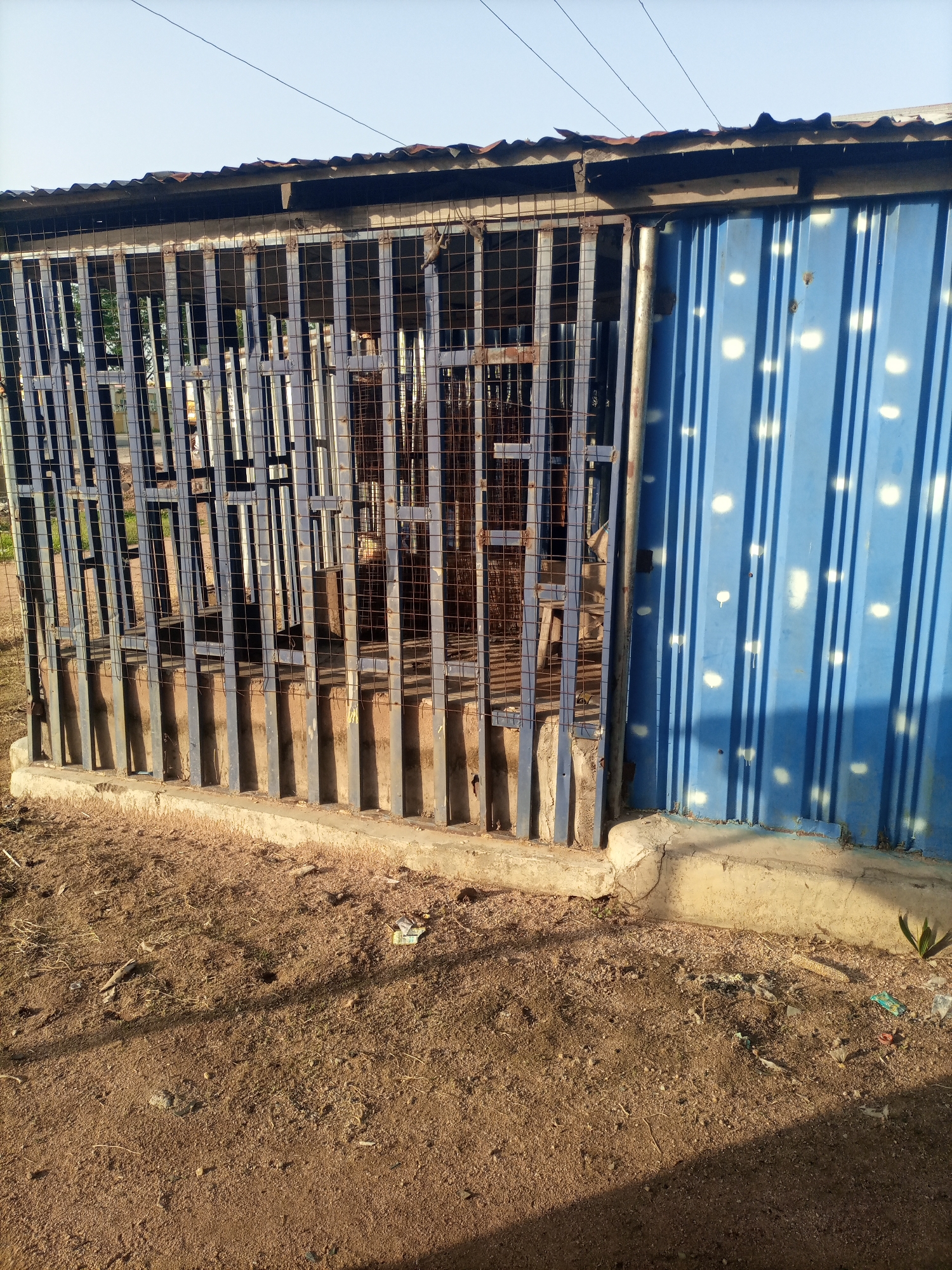 The image depicts an outdoor scene in Jalingo, Nigeria. In the foreground, a dirt ground is visible, scattered with dry leaves and debris. A concrete foundation runs along the base of a structure that occupies the middle ground. This structure features a metal cage-like enclosure with vertical bars and a wire mesh covering. Behind the cage, a corrugated blue metal wall with white circular markings is present. The corrugated wall extends to the right side of the image. A slightly dilapidated, corrugated metal roof tops the entire structure. The scene is illuminated by natural light, casting shadows on the ground, suggesting it is daytime. No people or animals are visible in the frame.