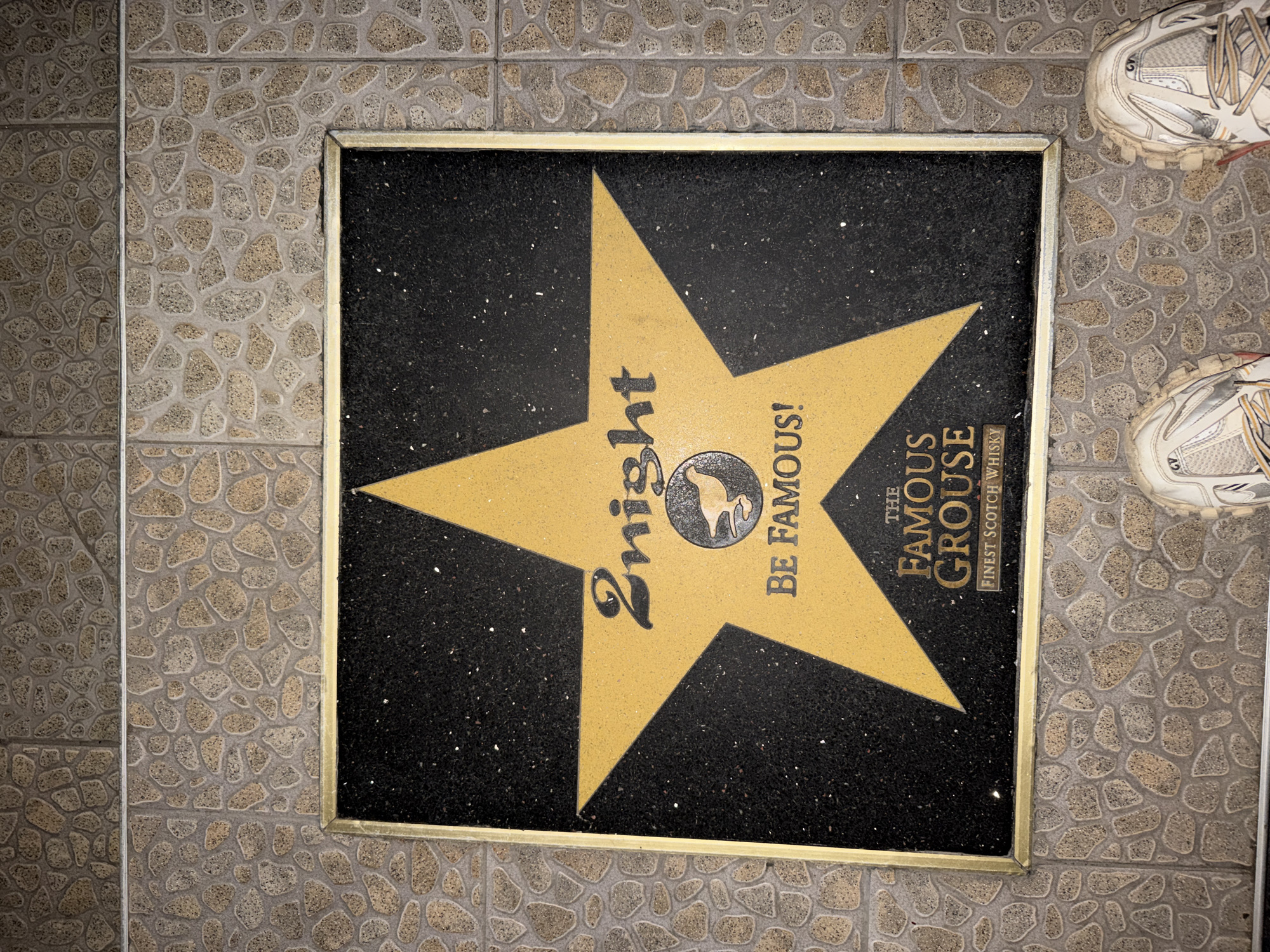 The image shows a golden star embedded in a black tile within a cobblestone walkway. The star is inscribed with "2night" above an image of a grouse, with the words "BE FAMOUS!" and "THE FAMOUS GROUSE FINEST SCOTCH WHISKY" to the right. Part of a person's running shoes are visible on the right side of the image. Based on the text on the star, this image likely depicts a 'Walk of Fame' style star found outside 2Night Club in Sofia, Bulgaria.