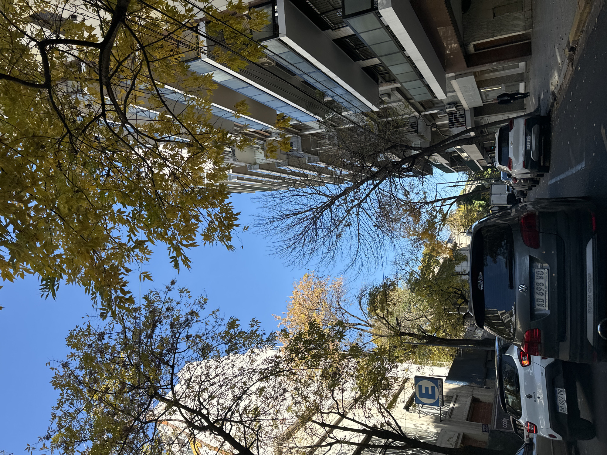 This is an outdoor urban scene in Buenos Aires, Argentina. The camera appears to be tilted upward, capturing the street framed by trees with yellow and bare branches, suggesting it is autumn. On the right side of the image, cars are parked along the street. License plates are visible: one reads "AD 698 WO" and "AH 652 PR", the other "AF 383 US". The word "cabify" is visible on one of the car's lower bumper. A blue and white parking sign is near one of the cars. Buildings line the street on both sides, with the one on the left appearing to be a multi-story modern structure. The sky is blue.