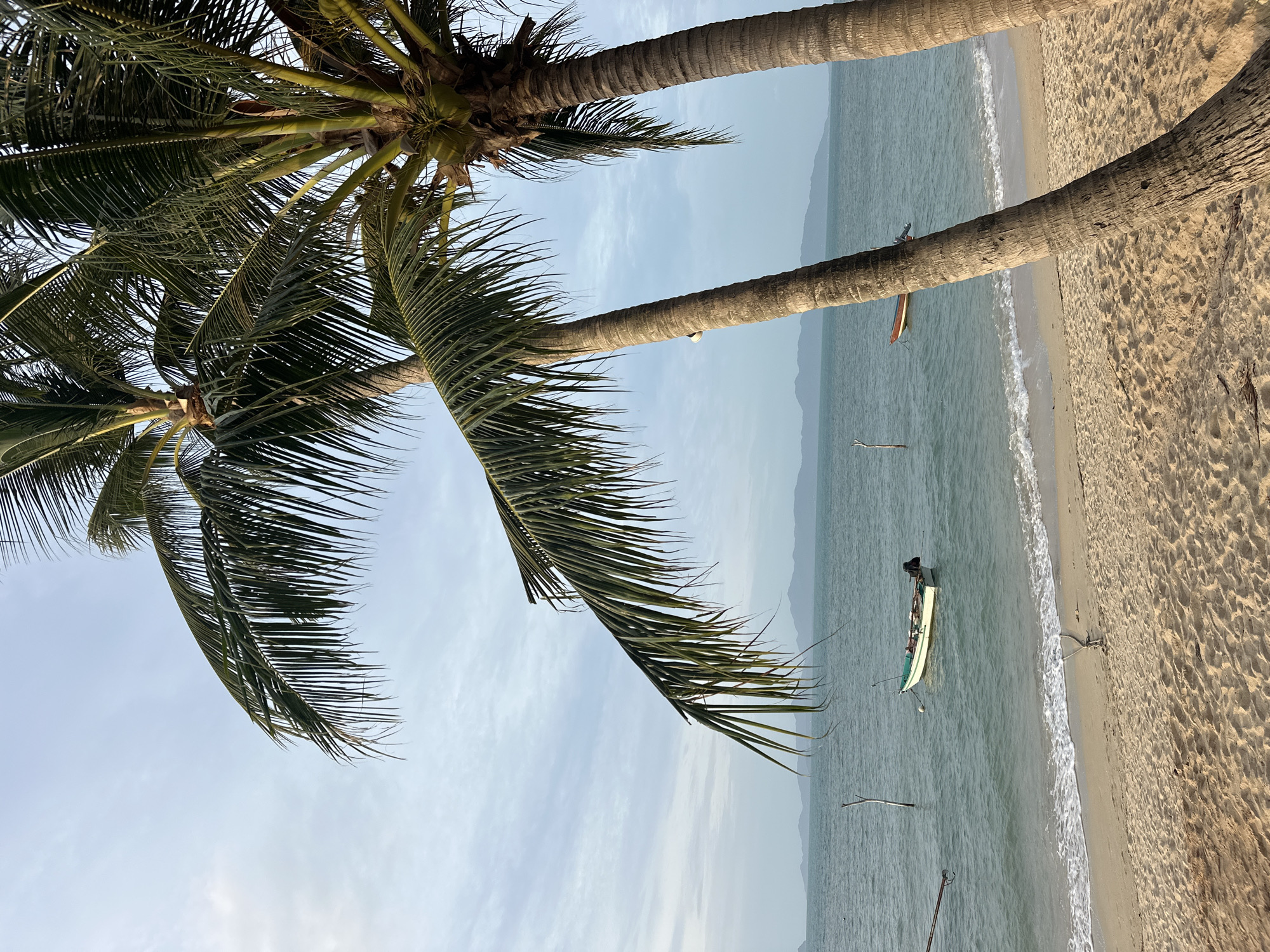 This image captures a serene beach scene in the Ko Samui District of Thailand. Two tall palm trees dominate the foreground, their fronds casting a slight shadow on the sandy beach. The ocean stretches out to the horizon, with gentle waves lapping the shore. Two small boats are visible in the water, one a light-colored dinghy with a dark engine, anchored near the shore. The other, a darker, longer boat, is further out. In the background, a hazy outline of mountains can be seen against a pale sky. The overall impression is one of tranquility and natural beauty.