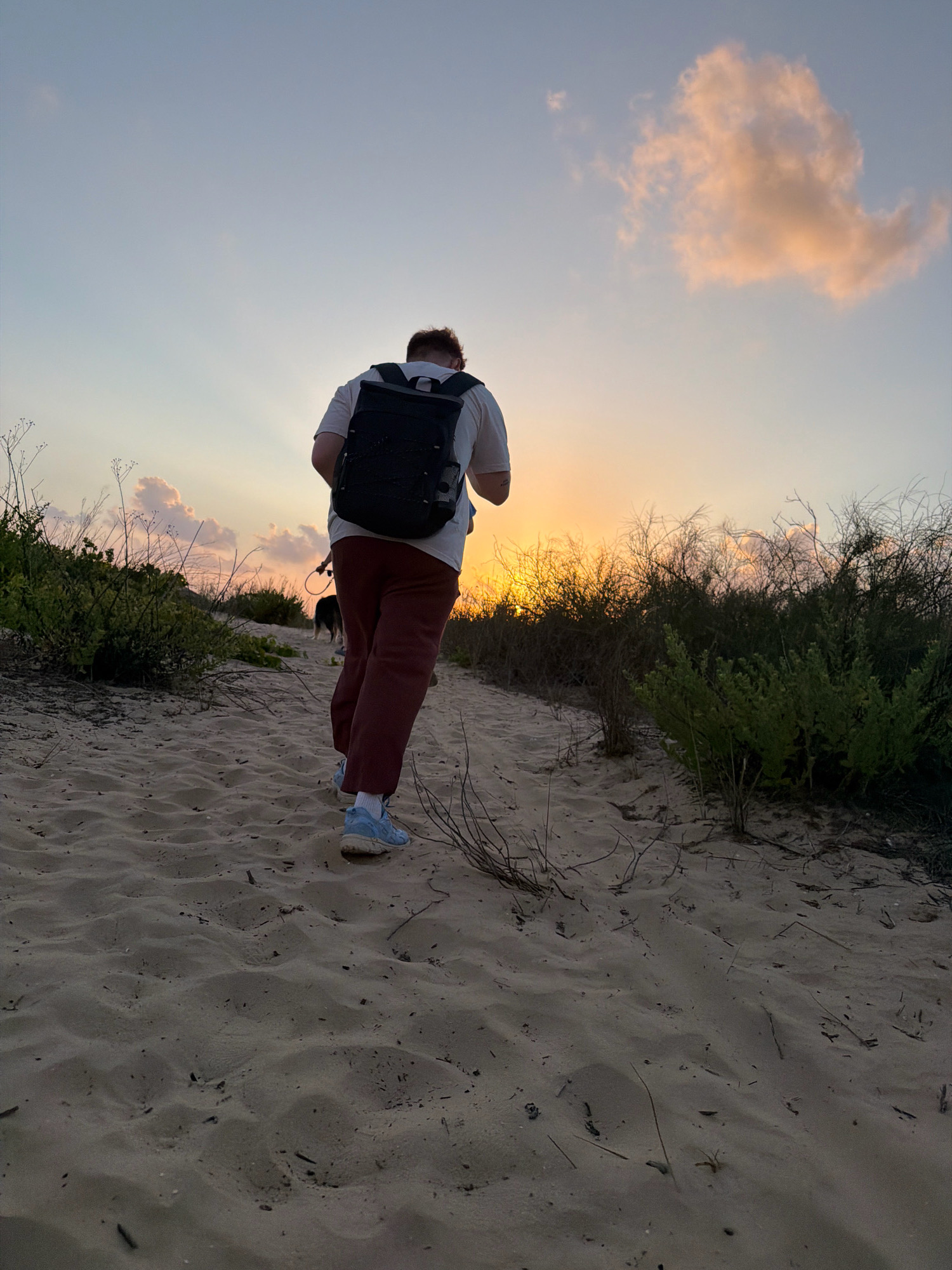 A person with a backpack walks on a sandy path towards a sunset in Rishon LeZion, Israel. The person, viewed from behind, is wearing a white t-shirt, maroon pants, and light blue sneakers. A dog on a leash is walking ahead of them, also on the path. The path is flanked by dry vegetation and bushes. The sky is clear with a few scattered clouds illuminated by the setting sun, casting a warm glow. The sandy terrain shows subtle footprints.