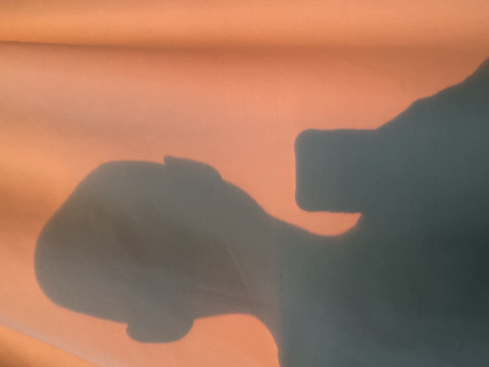 The image captures an abstract composition of dark shadows cast upon a smooth, warm peach-orange surface. The background color varies subtly, suggesting diffuse lighting on a wall or fabric.
The primary subjects are the distinct shadows. On the left, the silhouette of a human head and shoulders is visible, appearing to face towards the right. To the right of this, another shadow clearly depicts a hand holding a rectangular object, which strongly resembles a smartphone or a small camera. The hand is positioned as if holding the device upwards, possibly casting the shadow deliberately or in the act of taking a photo.
The activity appears to be an observation of light and shadow, potentially an experimental self-portrait or a playful interaction with light. The warm tone of the background suggests the light source is either natural (like a sunset or sunrise) or a warm artificial light, diffused to create the soft, even illumination on the surface. The scene is set indoors in Ulyanovsk, Russia. There is no visible text in the image.