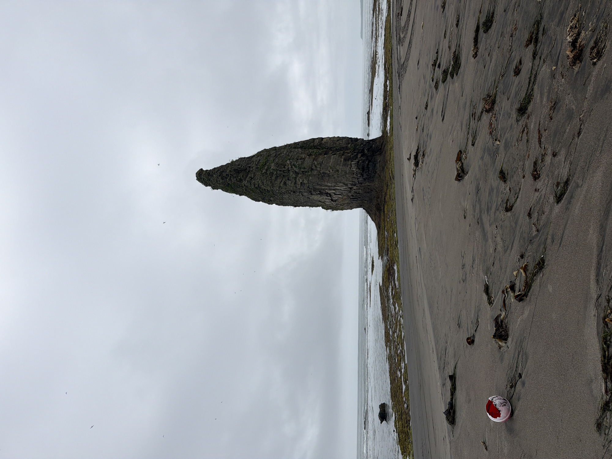 An overcast day at a rocky beach in Yuzhno-Kurilsk, Russia. A tall, jagged rock formation dominates the center of the frame, rising from the water and surrounded by exposed rocks and seaweed. The foreground is a sandy beach littered with kelp. A deflated, red and white ball lies on the sand to the left of the frame. The ocean stretches to the horizon under a cloudy sky, with a few birds visible in the air. Tire tracks are imprinted in the sand on the right side of the image.