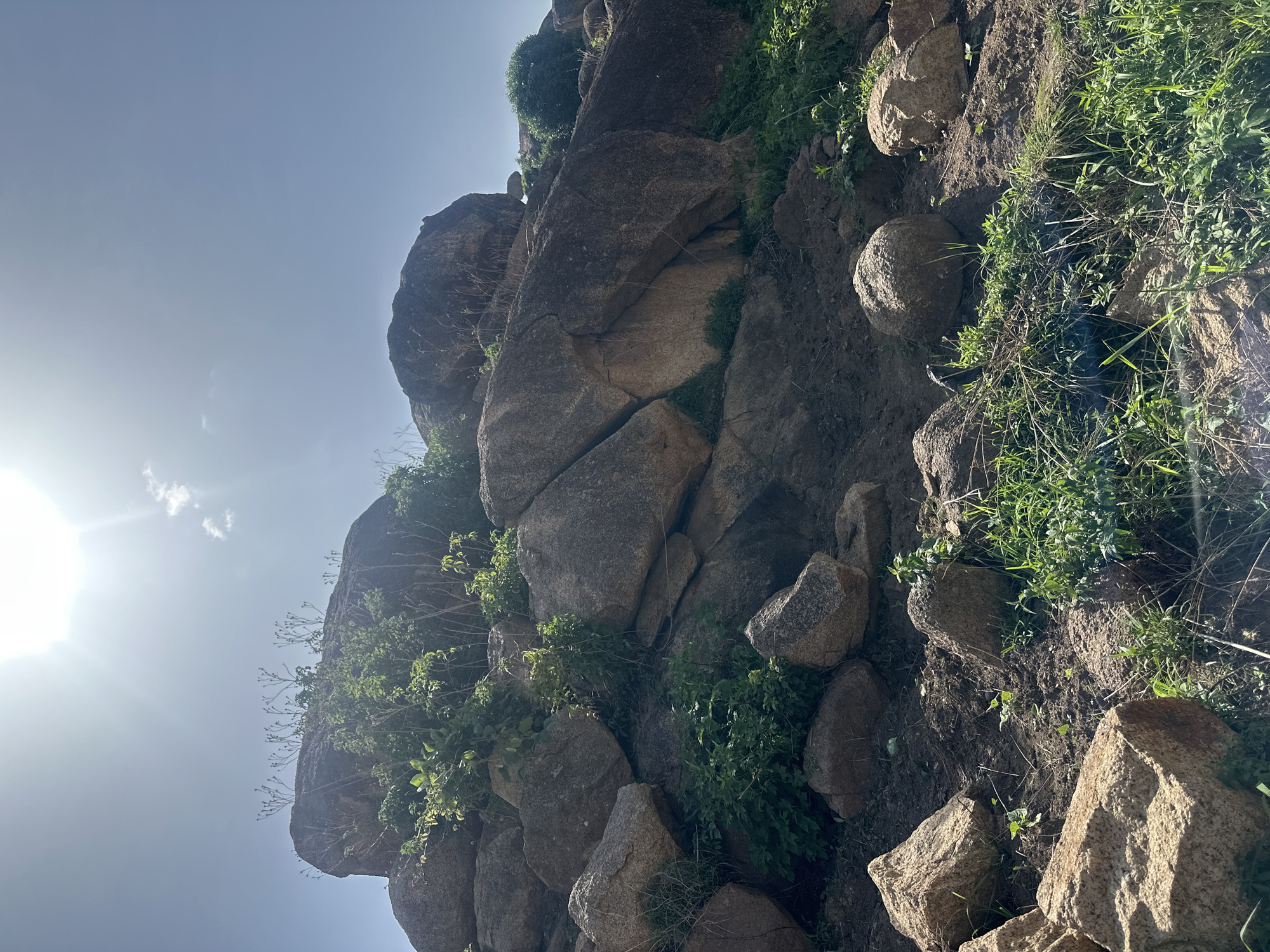 The image depicts a rocky, arid landscape in Jos, Nigeria, under a bright, sunny sky. The foreground features rough terrain with scattered large boulders, some of which are weathered and angular, while others are smoother and rounded. Patches of dry grass and sparse green vegetation are visible amongst the rocks and soil.
In the midground, the terrain slopes upward, covered in a dense formation of large, greyish-brown boulders of varying sizes and shapes. Some of these boulders are stacked precariously on top of each other, creating a rugged, uneven surface. Greenery, including bushes and small trees, grows in the crevices and around the base of these rocks, adding touches of vibrant color to the otherwise muted tones of stone and earth.
The background is dominated by a massive, rounded boulder resting atop a cluster of other rocks, with more sparse vegetation growing on its surface. The sky above is a clear, pale blue, with the sun positioned in the upper left quadrant, casting a strong glare that washes out some details of the sky. A few wispy clouds are present. The overall impression is one of a natural, untamed environment.