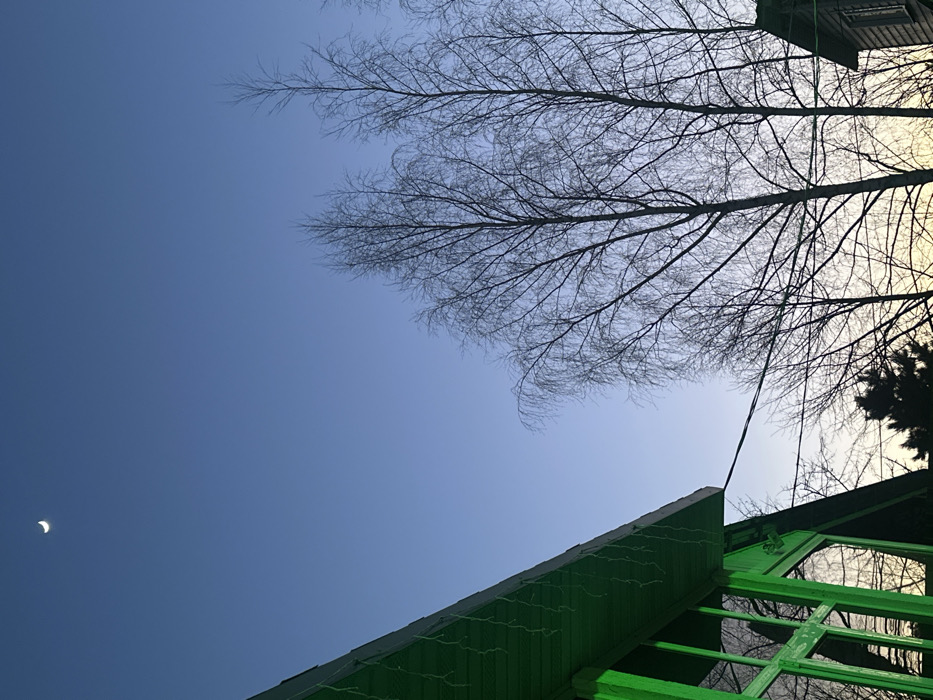 The image displays an outdoor scene at either dawn or dusk in 3-Y Uchastok, Russia. The sky transitions from a deep clear blue at the zenith to a pale yellow-orange near the horizon. A thin crescent moon is positioned in the upper left quadrant of the sky. In the lower left, a portion of a building with a vibrant green exterior, sloped roof, and multiple windowpanes is visible. Small, white, icicle-shaped decorative lights hang from its eaves. A single thin, dark cable extends horizontally from the corner of this green building towards the right. To the right, several tall, bare deciduous trees, possibly birches, are silhouetted against the gradient sky. A darker evergreen tree line is discernible in the lower background. A fragment of a second, lighter-colored wooden building is present in the lower right corner. No people, specific actions, or interactions are visible.