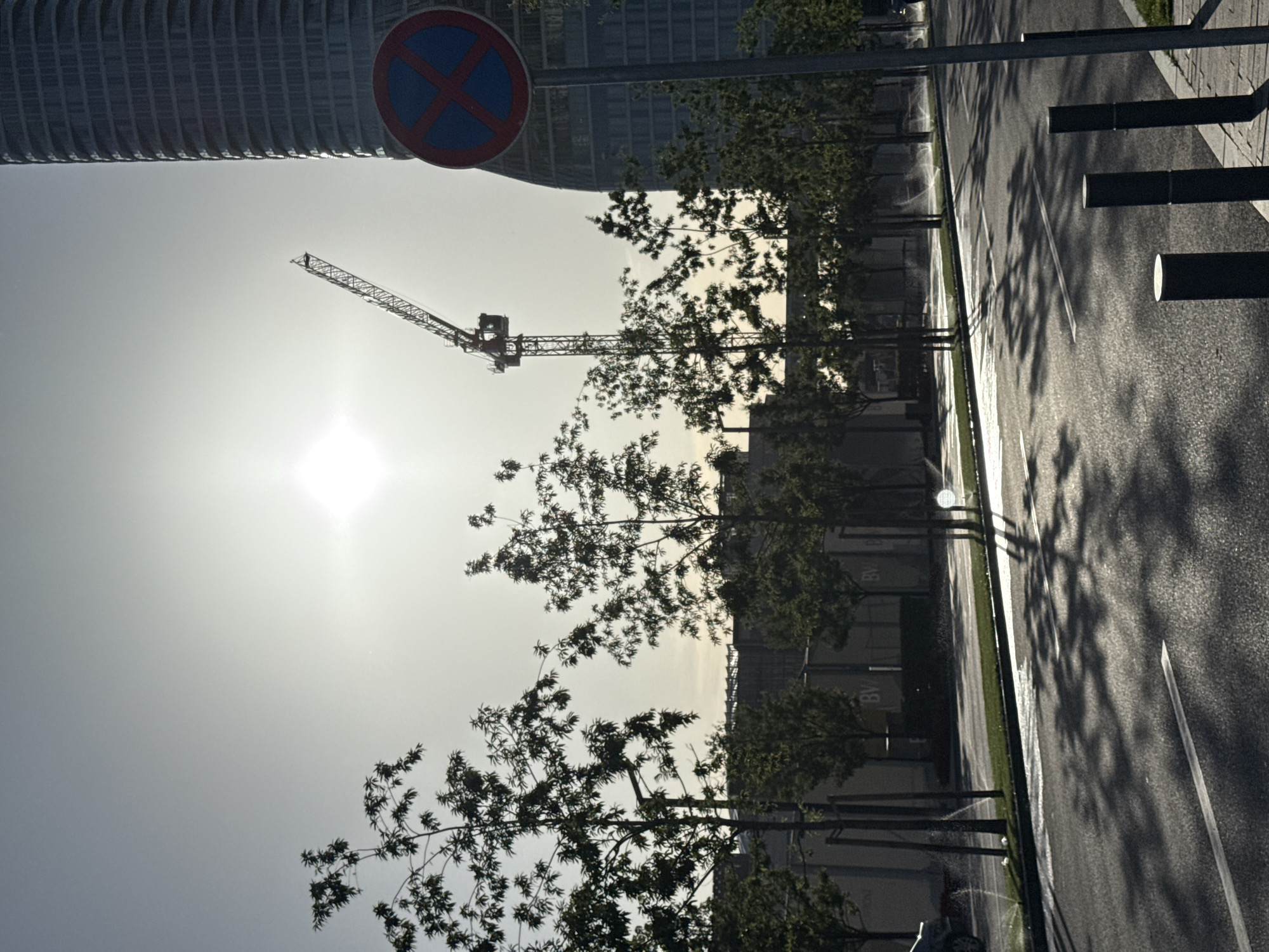 The image shows a street scene in Belgrade, Serbia, taken during daylight. A construction crane is visible in the distance, silhouetted against a bright sky with the sun. A tall building is partially visible in the upper left. A circular 'no parking' sign is present. Trees line the side of the street, and the shadows of the trees fall on the asphalt. Concrete bollards line the sidewalk on the right.