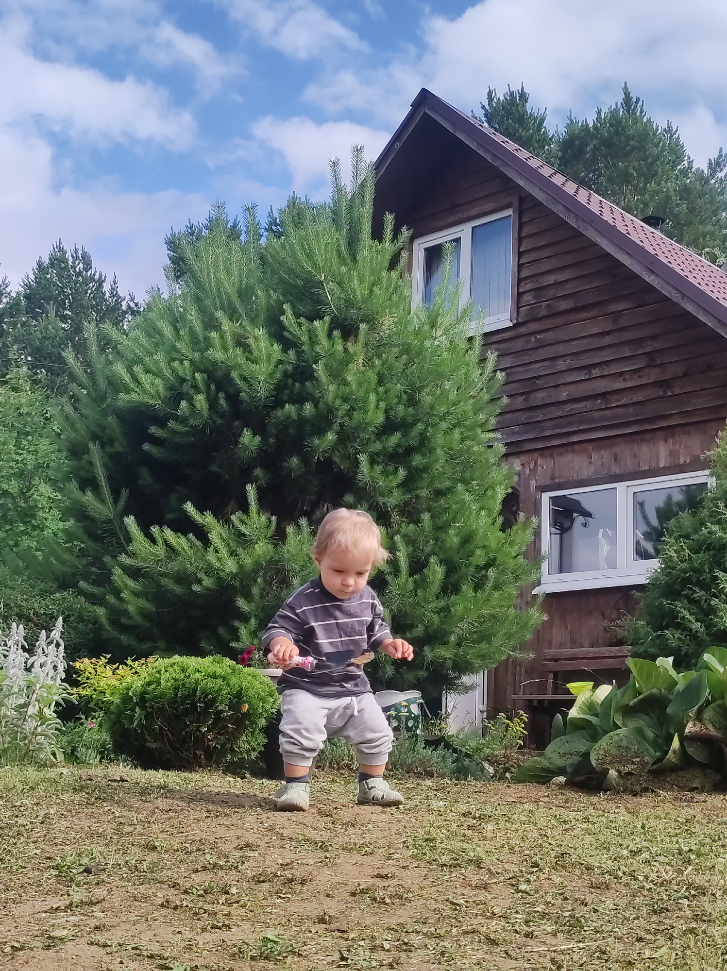 A young child with blonde hair, wearing a striped shirt and grey pants, is standing in a yard in front of a wooden house. The child is looking down at something in their hands. The yard is covered in grass and dirt, with several evergreen trees and bushes surrounding the area. The house is two stories tall with brown wooden siding and a dark red shingled roof. There are two windows visible on the side of the house. The sky is blue with scattered white clouds. The scene appears to be a residential setting, possibly a private home in a rural or suburban area. The location in the city of Фоки, Russia is not determinable from the image itself.