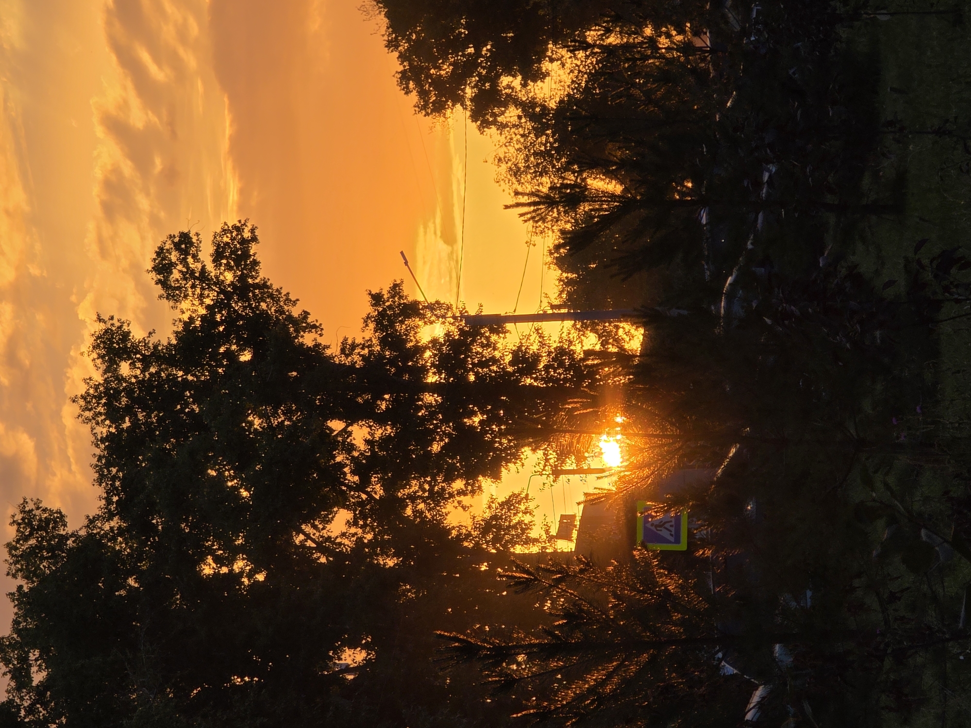 The image depicts a sunset in Chaikovsky, Russia, characterized by a vibrant orange sky with scattered clouds. Silhouetted trees frame the scene, with the sun's rays piercing through their foliage, creating a warm glow. In the foreground, dark foliage obscures the lower part of the image, hinting at a natural setting or park. A pedestrian crossing sign is visible, suggesting the presence of a road or intersection nearby. The overall atmosphere is serene and natural, with the setting sun casting a dramatic light over the landscape.