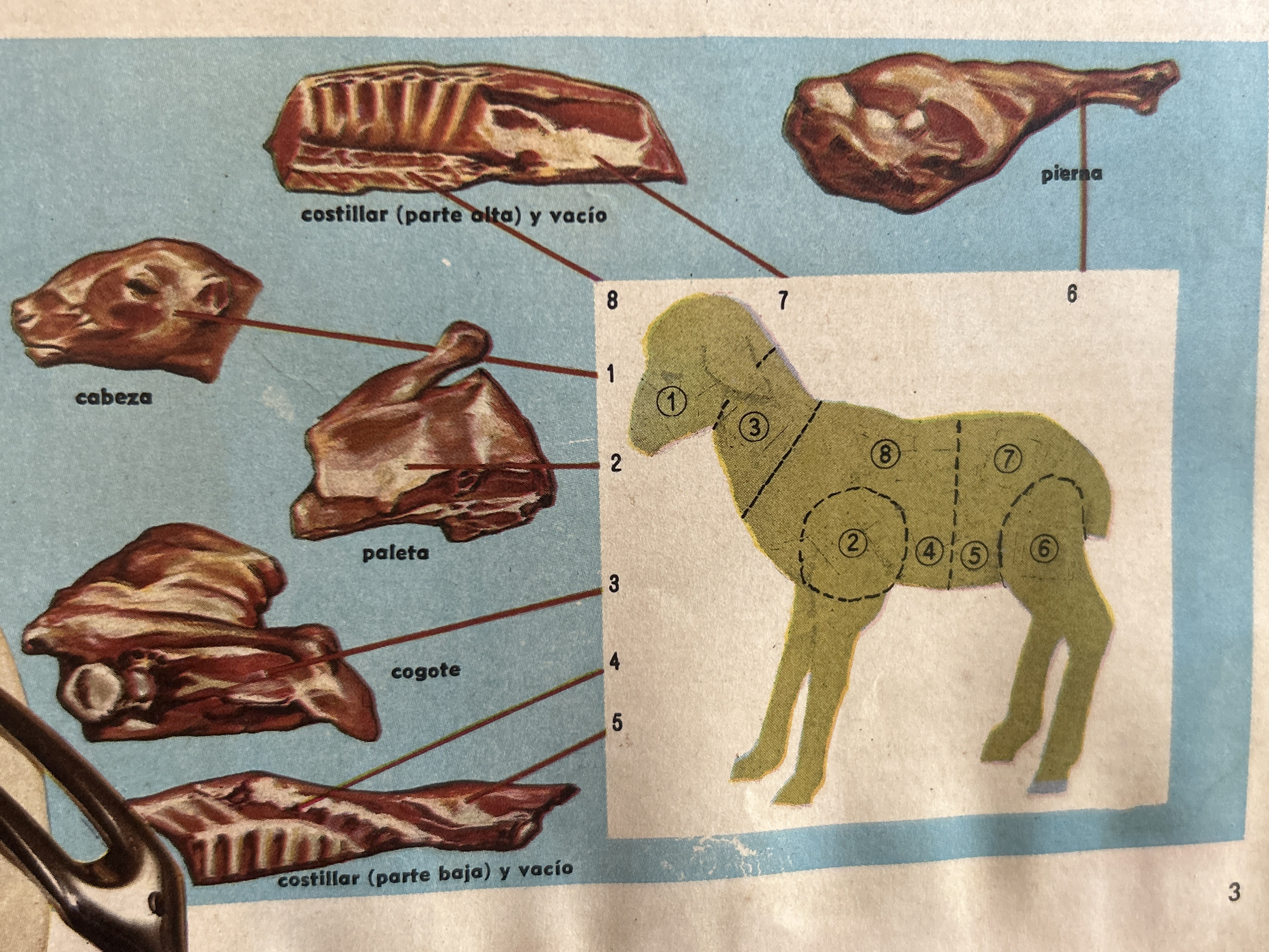 The image is a diagram showing different cuts of meat from a lamb, with labels in Spanish. The diagram also includes a silhouette of a lamb with numbered sections corresponding to the cuts of meat shown above. The background is a light blue color. The image does not provide any information about the city of Santa Ana, Venezuela, or any context related to that location. The image appears to be a printed illustration, possibly from a book or educational material.