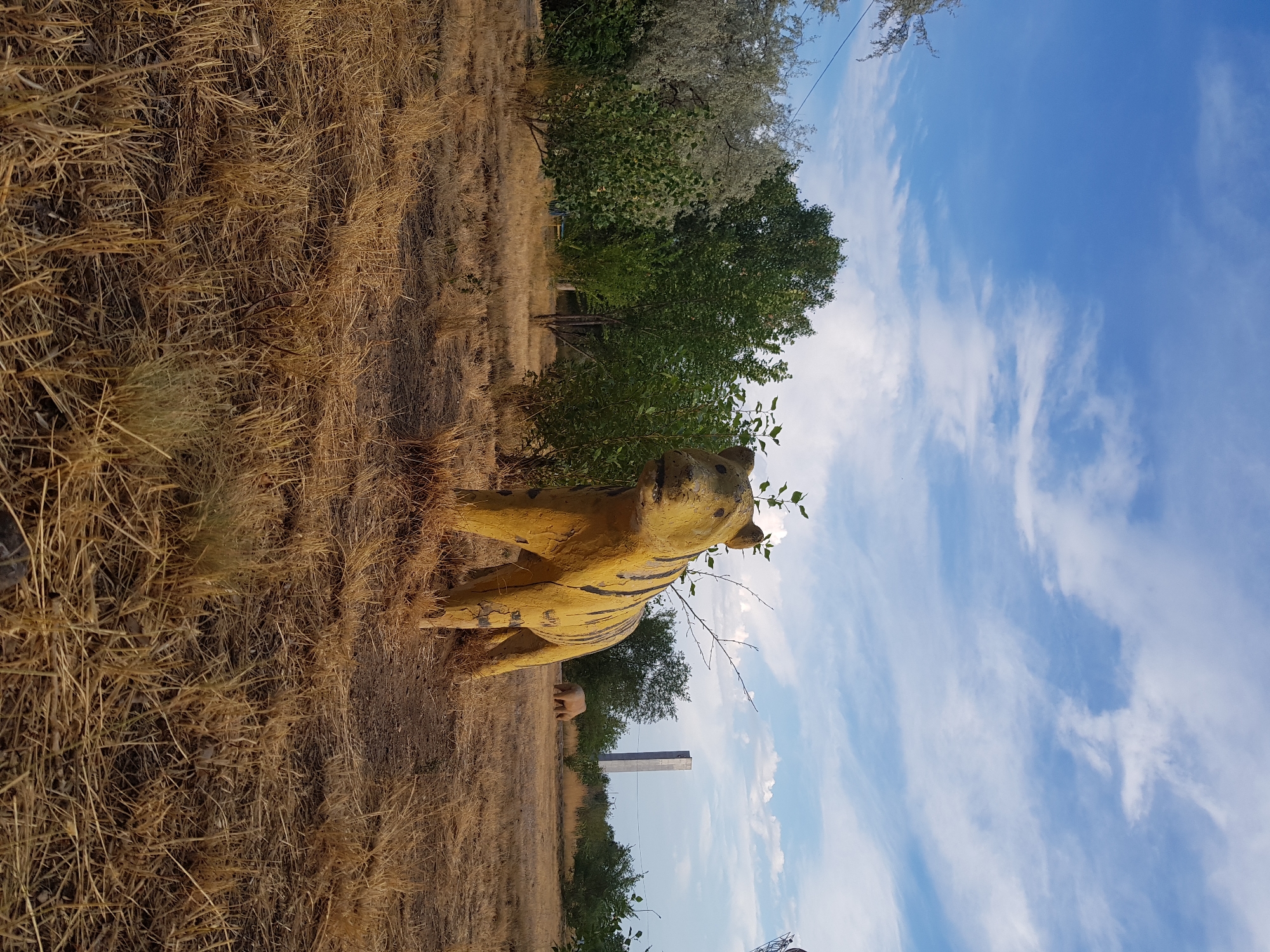 A faded, yellow statue of a tiger with black stripes stands in a dry, grassy field. The tiger statue is weathered and cracked. In the background, there is another statue of an animal, possibly a bear, and a tall, concrete structure resembling a tower or smokestack. Several trees and bushes are visible, and the sky is blue with scattered white clouds. The scene appears to be located in an open, undeveloped area on the outskirts of Kurchatov, Kazakhstan.