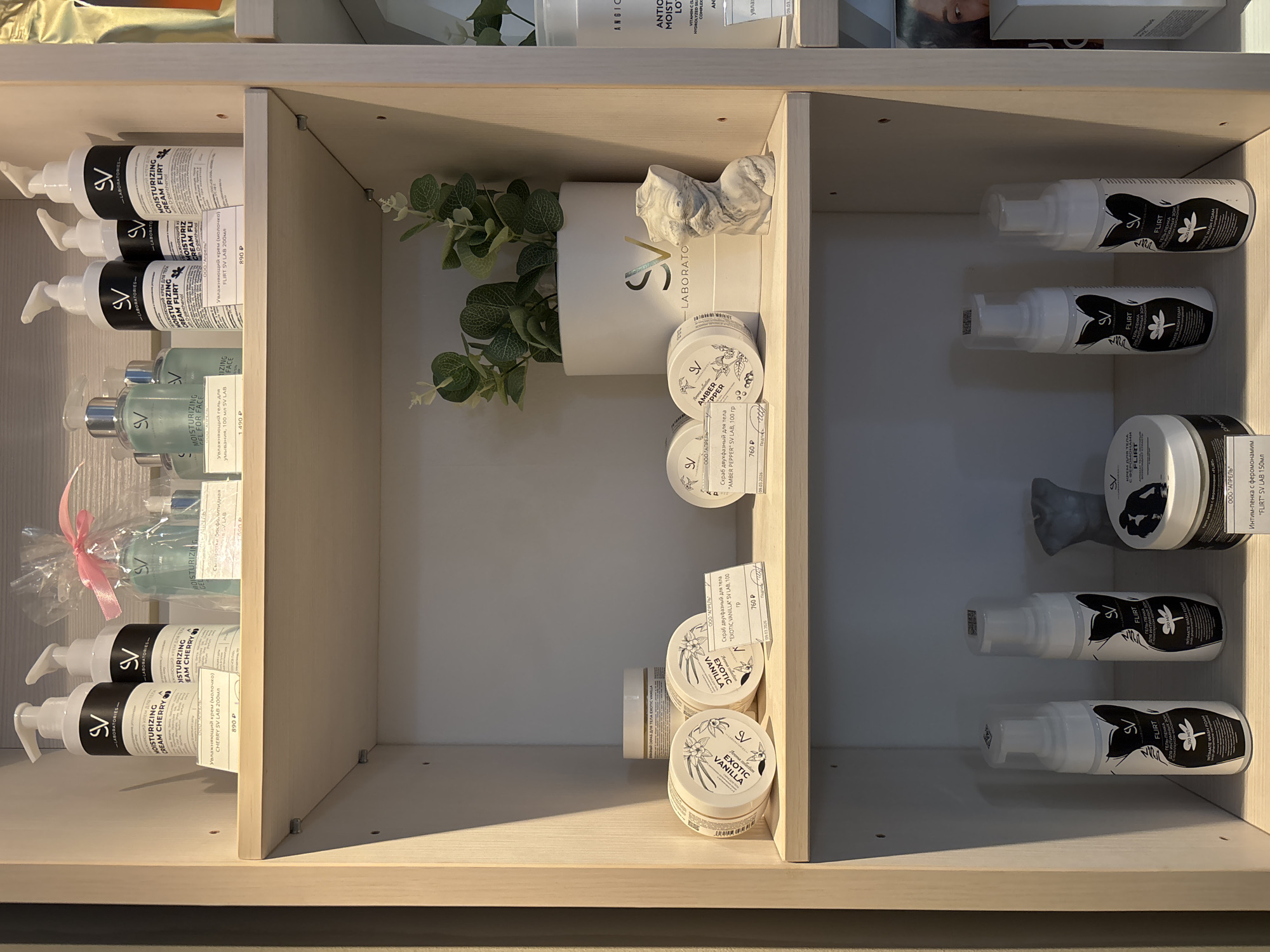 The image displays a well-lit, three-tiered wooden retail shelving unit, likely situated within a commercial establishment in Romanovka, Russia. The shelves are stocked with various cosmetic and personal care products under the "SV LABORATORIES" brand.
On the top shelf, from left to right, there are two white pump bottles labeled "MOISTURIZING CREAM CHERRY," with one displaying a price of 890 ₽. Adjacent to these is a transparent gift-wrapped package secured with a pink ribbon, containing a light blue product identified as "Увлажняющий гель для лица" (Moisturizing Gel for Face) with a price tag of 1490 ₽. Following this are three white pump bottles labeled "MOISTURIZING CREAM FLIRT," with one indicating a price of 890 ₽.
The middle shelf features cylindrical jars and decorative items. On the left, two white jars with black labels depicting "EXOTIC VANILLA" are visible, identified as "Скраб двухфазный для тела" (two-phase body scrub) and priced at 760 ₽, with an expiration date of 09.03.2026. In the center, a white cylindrical pot branded "SV LABORATORIES" holds an artificial green plant resembling eucalyptus. Next to it stands a small, marbled grey and white statuette of a female torso. To the right, two white jars with black labels displaying "AMBER PEPPER" are visible, also identified as "Скраб двухфазный для тела" and priced at 760 ₽, with an expiration date of 09.03.2026. A tall white pump bottle, partially visible on the far right, is labeled "ANGIOCARE MOISTURIZING LOTION."
The bottom shelf showcases intimate care products. On the left, two white pump bottles with black labels depict a stylized female silhouette and are labeled "FLIRT ИНТИМНЫХ ЗОН" (Intimate Wash Foam). In the center, a small dark grey marbled statuette of a male torso is positioned next to a black jar labeled "FLIRT," with a partially visible price tag. To the right, two identical white pump bottles, also labeled "FLIRT ИНТИМНЫХ ЗОН," are displayed. A portion of an adjacent display or mirror shows a partial reflection of a person's face on the far right.
Several price tags indicate "ООО 'АПРЕЛЬ'" (OOO 'APREL'), suggesting the distributor or retail entity. The overall scene indicates a clean, organized retail display.
