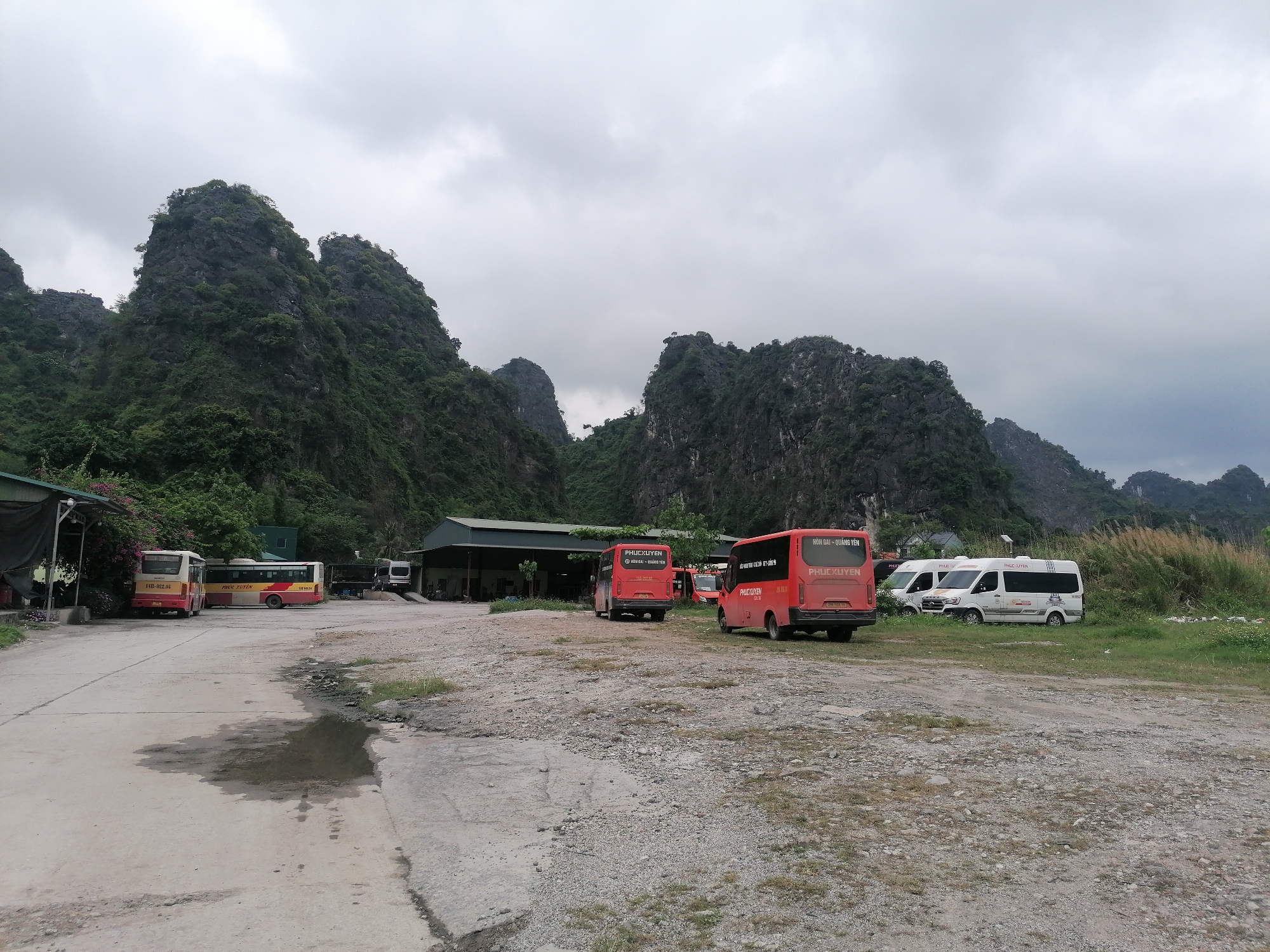 This image depicts a bus depot or parking area in Ha Tu Ward, Vietnam, set against a backdrop of dramatic, lush green limestone karst mountains under an overcast sky.
In the foreground, the ground transitions from a rough concrete slab with a prominent puddle on the left to a gravel and dirt surface extending towards the right. Various types of buses and vans are parked in the lot, suggesting an off-peak period or a vehicle storage/maintenance facility. On the far left, two large buses are visible; one, partially obscured, is yellow and red, while another yellow and red bus prominently displays the license plate "14B-022.04" and the brand "PHÚC XUYÊN" on its rear.
Towards the center and right of the frame, two red mini-buses are parked, both clearly marked "PHUCXUYEN." One of these mini-buses has additional text, "HÒN GAI - QUẢNG YÊN," indicating a travel route. Further to the right, partially hidden by tall grass, two white passenger vans are also visible, bearing the "PHUCXUYEN" branding. A utilitarian building with a dark roof stands behind the buses, likely serving as a garage or office space for the transport company.
The towering, verdant limestone peaks in the background are a striking feature, characteristic of the Vietnamese landscape. The cloudy, gray sky suggests a daytime setting, possibly late morning or afternoon, with muted light. No people are visible in the scene. The overall impression is a functional transportation hub integrated into a stunning natural environment.