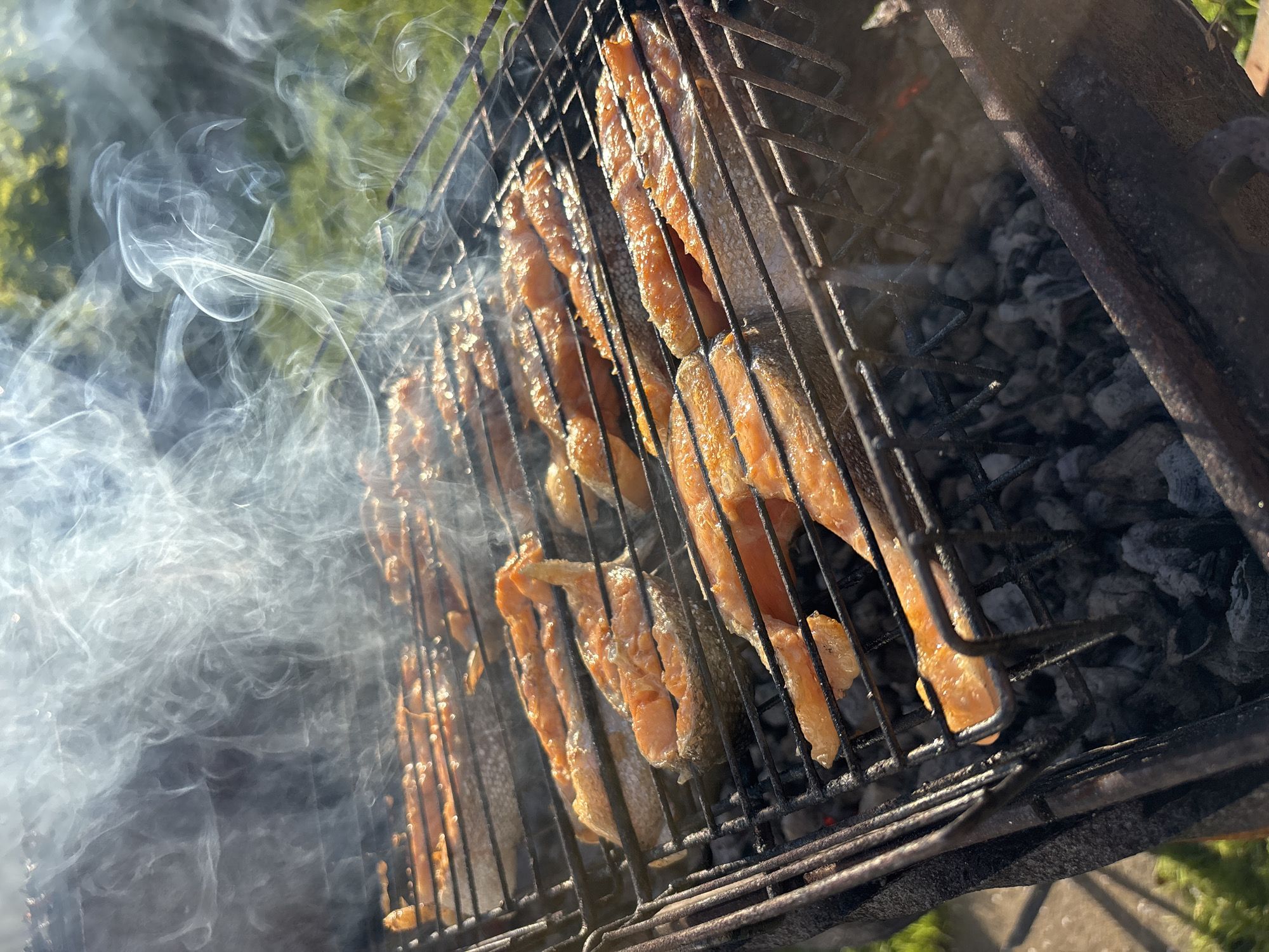 In Dunilovo, Russia, salmon steaks are grilling over hot coals on a barbecue. The fish, cut into thick pieces, are placed on a black metal grill rack. Smoke billows upwards from the cooking fish, catching the sunlight and creating a hazy effect. The background shows a blurred green grassy area. The grill is set over a bed of glowing charcoal, with some embers visible. The scene captures a moment of outdoor cooking with a focus on the sizzling salmon and the rising smoke.