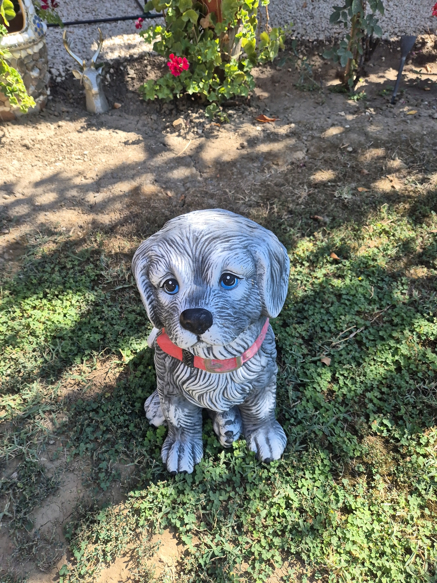 A statue of a gray and white dog with blue eyes and a pink collar sits in a grassy yard. The dog statue is the central focus of the image. In the background, there is a small deer statue, some red flowers, and green foliage. The ground is a mix of dirt and grass, with dappled sunlight and shadows. The location is the city of Unknown, Unknown.