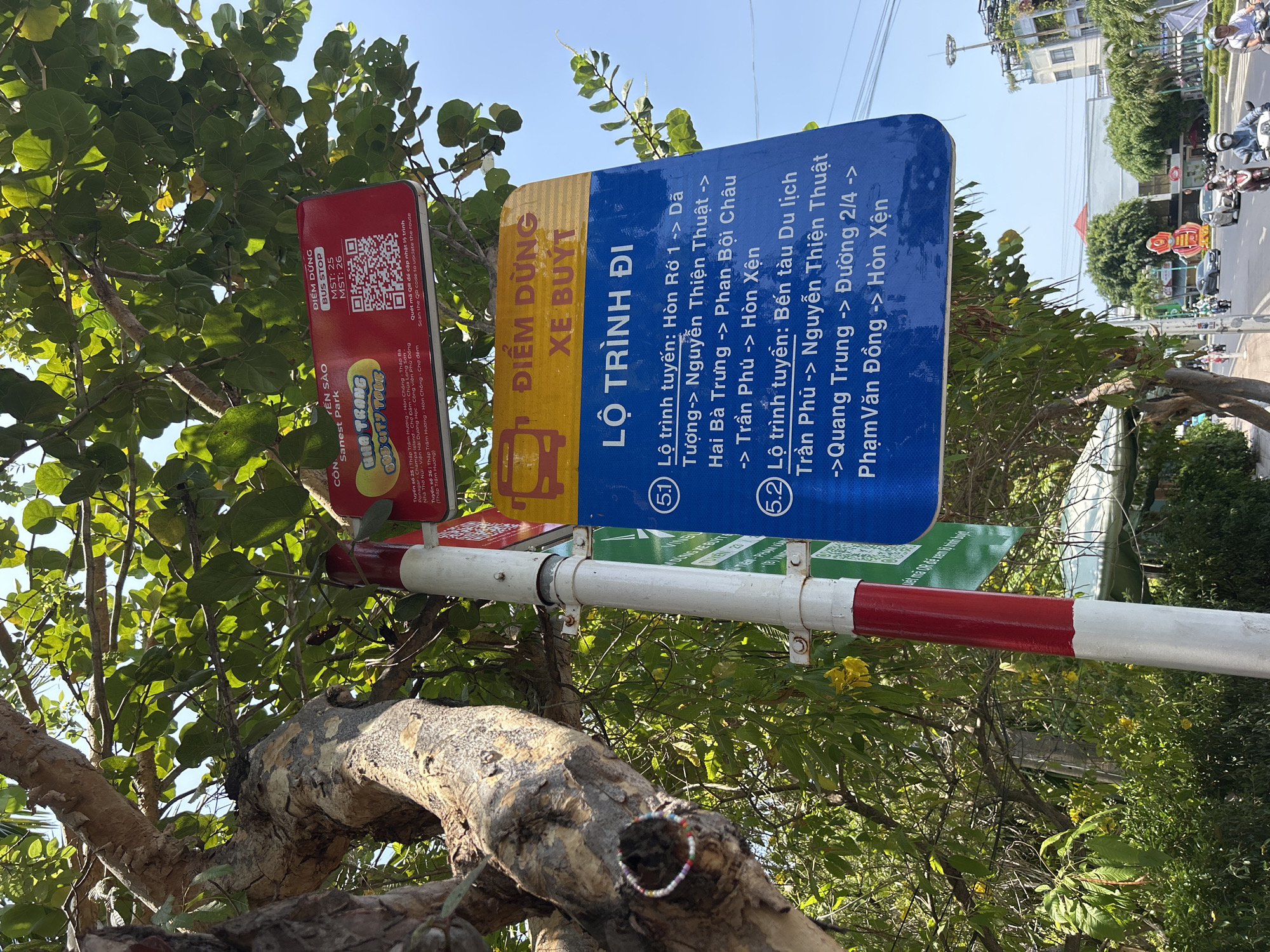 An outdoor, eye-level shot captures a bus stop sign partially obscured by the lush, green foliage and gnarled trunk of a large tree, set against a bright, clear sky. The sign consists of two panels: a red one on the left and a blue one on the right, both mounted on a white and red striped pole.
The red panel displays "ĐIỂM DỪNG BUS STOP" and route numbers "MST: 25" and "MST: 26". It also advertises "Sanest Park NHA TRANG BUS CITY TOUR" and includes a QR code with the instruction "Quét mã QR để cập nhật lộ trình Scan the QR code to update the route". Below, truncated Vietnamese text details routes 25 and 26, mentioning landmarks like "Tháp Bà", "Hòn Chồng", "Chợ Đầm", and "Tháp Trầm Hương".
The blue panel, labeled "ĐIỂM DỪNG XE BUYT" (Bus Stop) and "LỘ TRÌNH ĐI" (Route), lists two bus routes:
(5.1) "Lộ trình tuyến: Hòn Rớ 1 -> Dã Tượng-> Nguyễn Thiện Thuật -> Hai Bà Trưng -> Phan Bội Châu -> Trần Phú -> Hòn Xện"
(5.2) "Lộ trình tuyến: Bến tàu Du lịch Trần Phú -> Nguyễn Thiện Thuật -> Quang Trung -> Đường 2/4 -> Phạm Văn Đồng -> Hòn Xện"
In the background, a street scene unfolds under bright daylight, showing motorbikes, a car, buildings, and distant trees, indicating an urban setting. A colorful beaded bracelet is visible on a tree branch in the lower portion of the image. The prominent Vietnamese text and specific location names on the sign confirm the setting as Nha Trang, Vietnam, likely in the Bắc Nha Trang area. No specific activity beyond the information display is depicted, and the bright, sunny weather suggests a pleasant day.