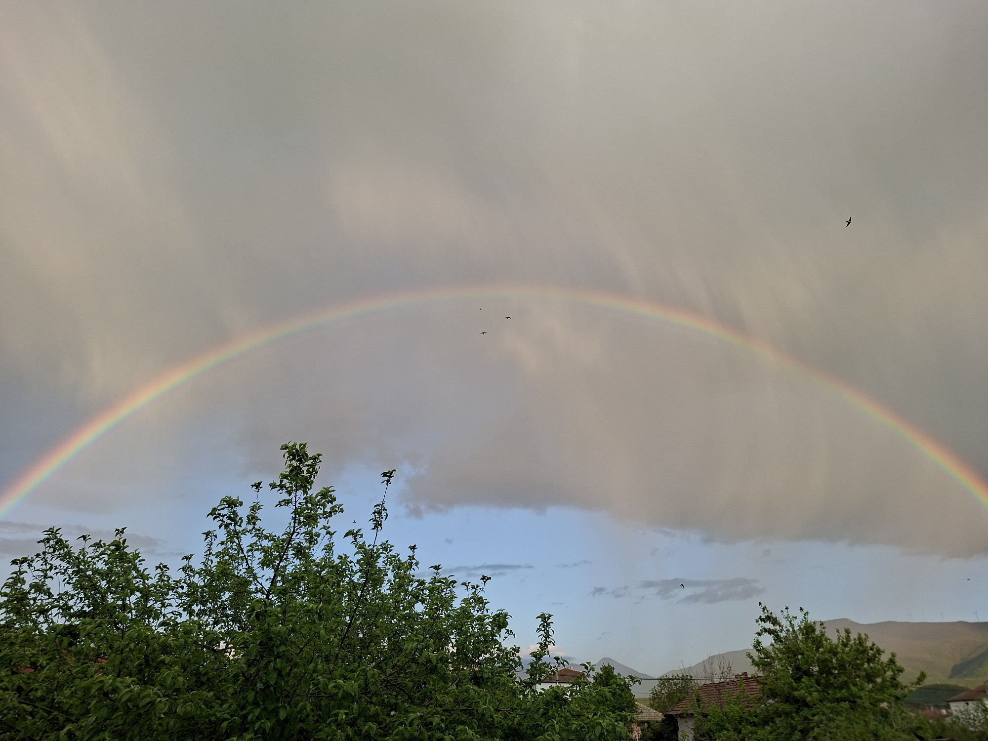 A vibrant, full-arc rainbow dominates the sky in this outdoor photograph. The sky is largely overcast with soft grey clouds, hinting at recent rain, but a clearer, lighter blue sky is visible beneath the main cloud mass, particularly in the lower half of the image. Numerous small birds, possibly swifts or swallows, are scattered across the sky, with at least three visible within the arc of the rainbow and one higher up towards the top right.
In the foreground, lush green foliage from several trees fills the bottom third of the frame. Their leaves are vibrant and dense, suggesting spring or summer. Below and behind these trees, parts of a few houses with traditional red-tiled roofs are visible, blending into the landscape. In the distant background, hazy mountains or hills rise, contributing to a sense of depth.
The overall impression is one of natural beauty and tranquility after a rain shower. The lighting suggests it could be late afternoon or early evening. There is no visible text in the image.