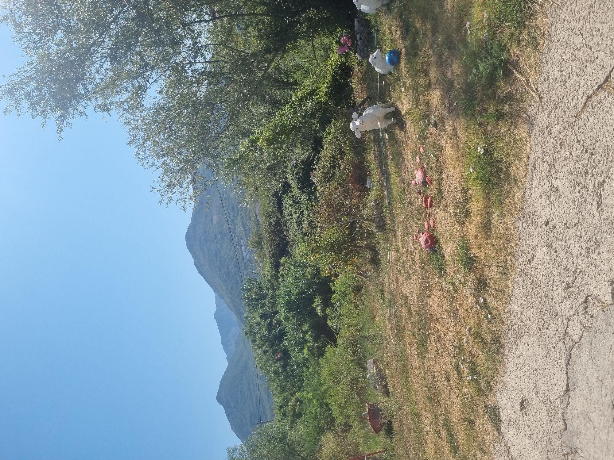 The image depicts a sun-drenched outdoor scene in Šušanj, Montenegro, with rolling hills and mountains in the background under a clear blue sky. In the foreground, a dry, grassy area with sparse wildflowers is visible, transitioning into a cracked concrete path. Several decorative objects are scattered on the grass: two white sheep statues, one with a blue ball, and a red toy pig with several red circular objects arranged behind it. To the left, a red wheelbarrow and some gardening equipment are present. Dense green foliage and trees dominate the middle ground and extend towards the right side of the frame.