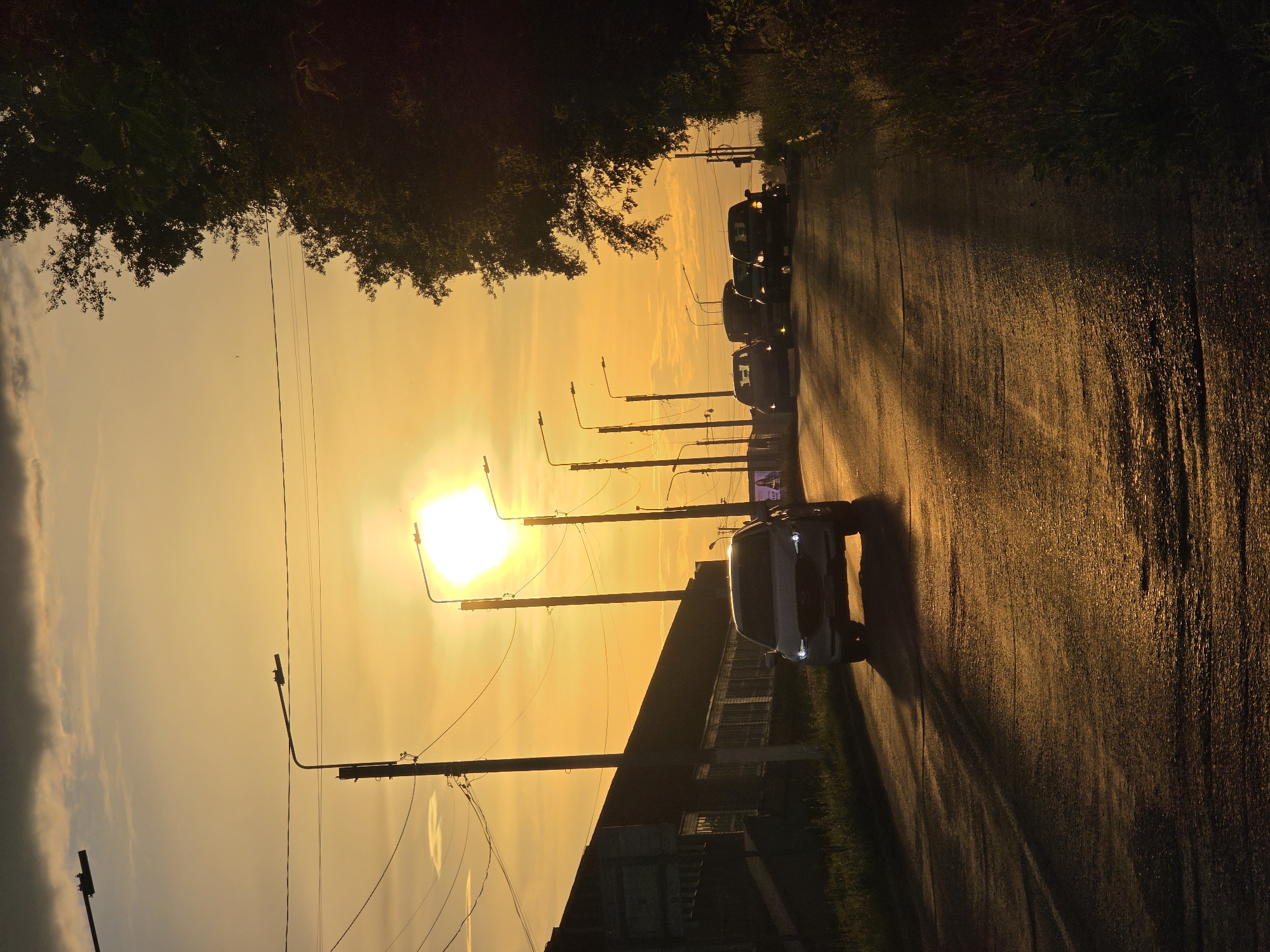 The image depicts a street lined with trees and streetlights during a sunset in Chaikovsky, Russia. Several cars are parked or driving along the wet asphalt road, reflecting the warm, golden light of the setting sun. The sky is filled with hues of orange and yellow, creating a dramatic and atmospheric scene. The trees on the left side of the road cast long shadows, adding depth to the image. The overall mood is serene and tranquil, with a hint of melancholy due to the fading light. The wet road suggests that it may have recently rained or is humid. No visible text is present in the image.
